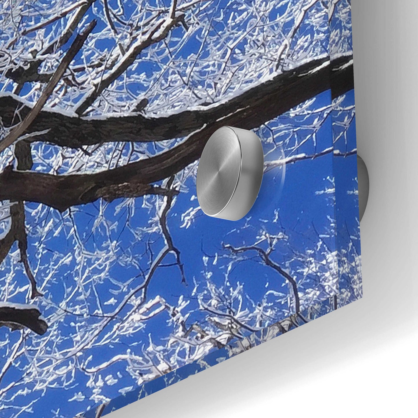 Epic Art 'Snow Covered Tree' by Jan Bell Acrylic Glass Wall Art,24x24