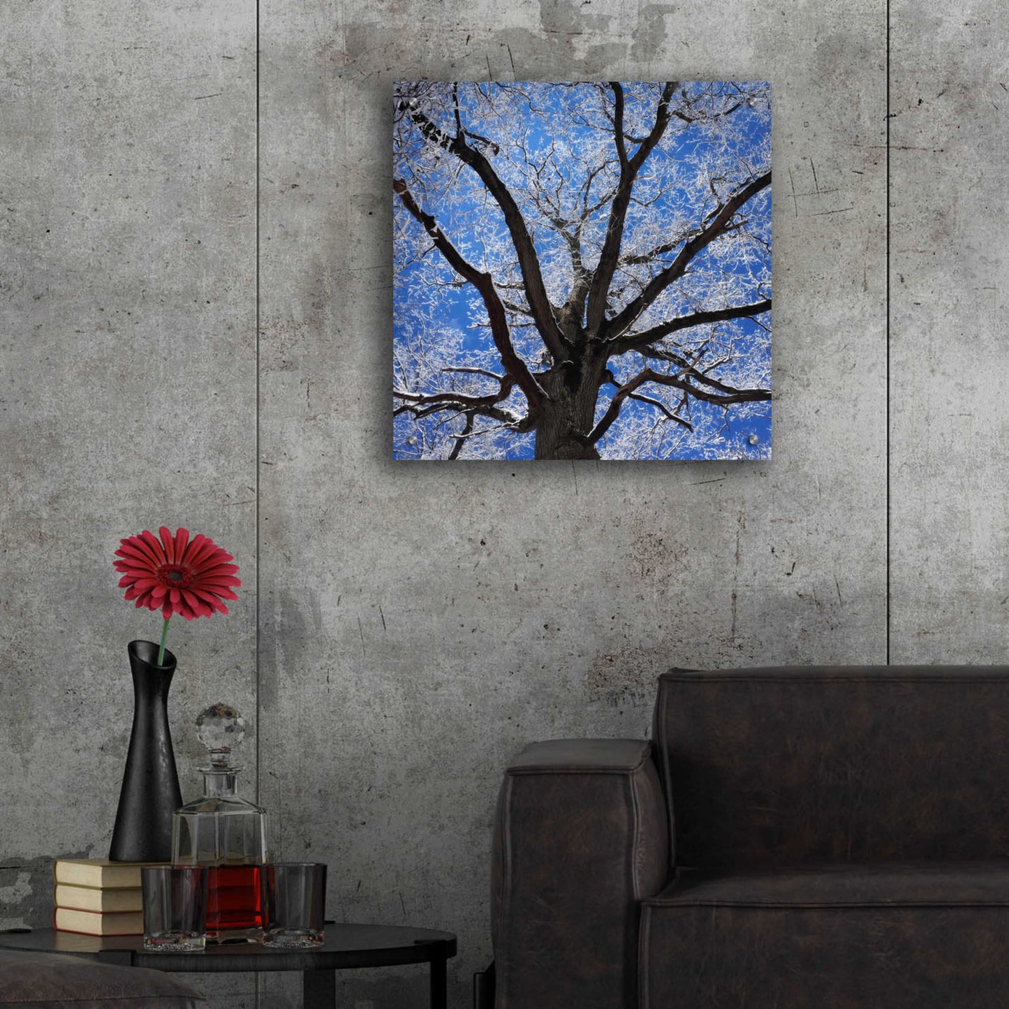 Epic Art 'Snow Covered Tree' by Jan Bell Acrylic Glass Wall Art,24x24