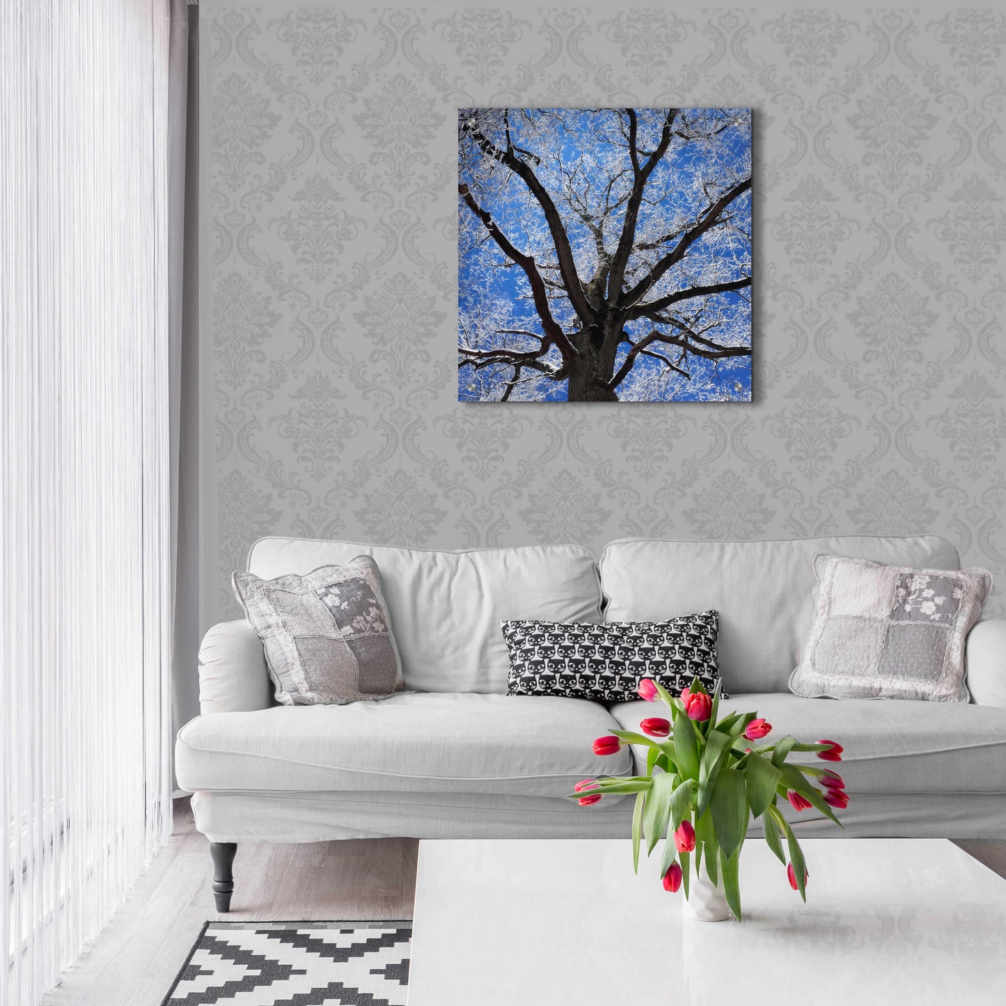 Epic Art 'Snow Covered Tree' by Jan Bell Acrylic Glass Wall Art,24x24