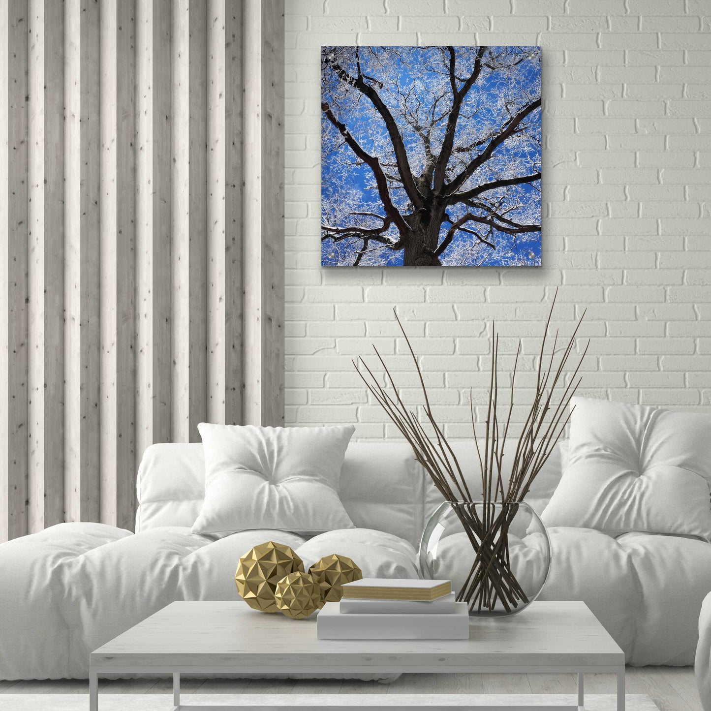 Epic Art 'Snow Covered Tree' by Jan Bell Acrylic Glass Wall Art,24x24