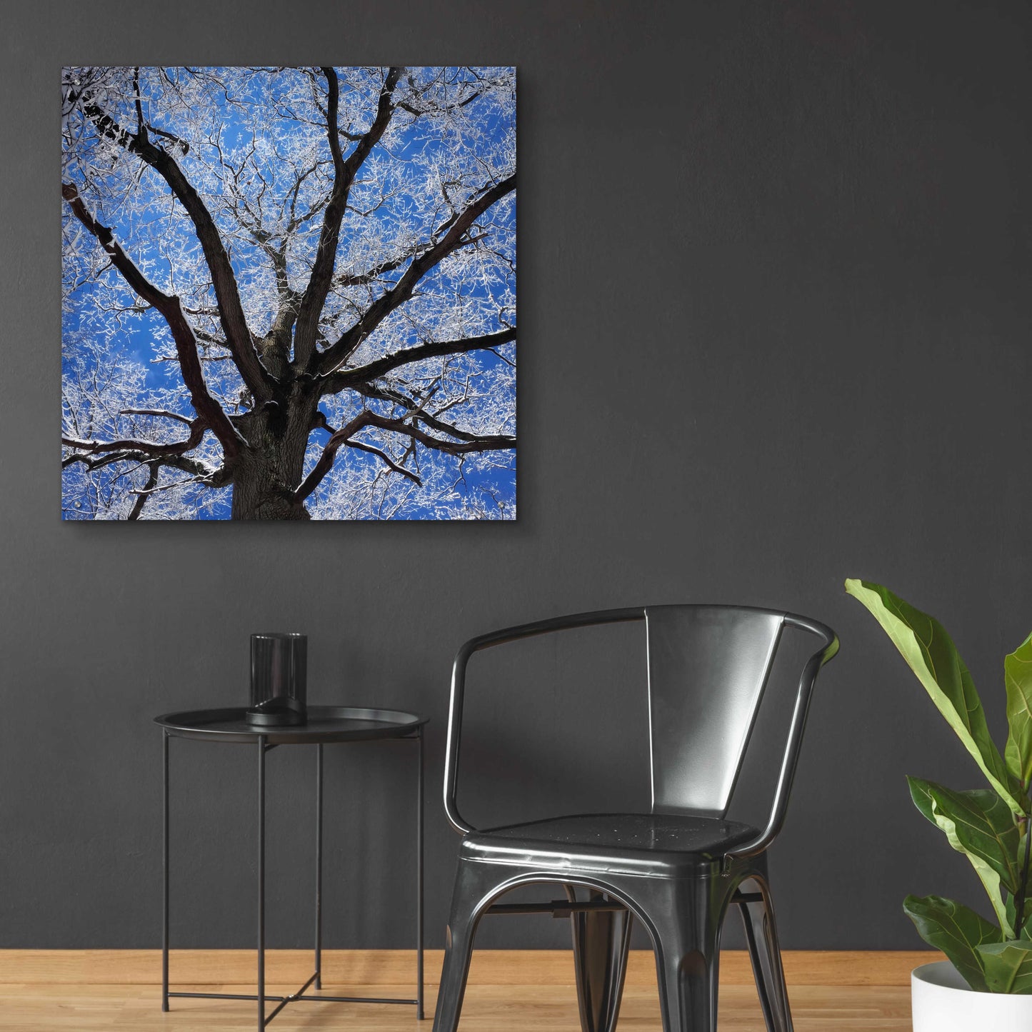 Epic Art 'Snow Covered Tree' by Jan Bell Acrylic Glass Wall Art,36x36