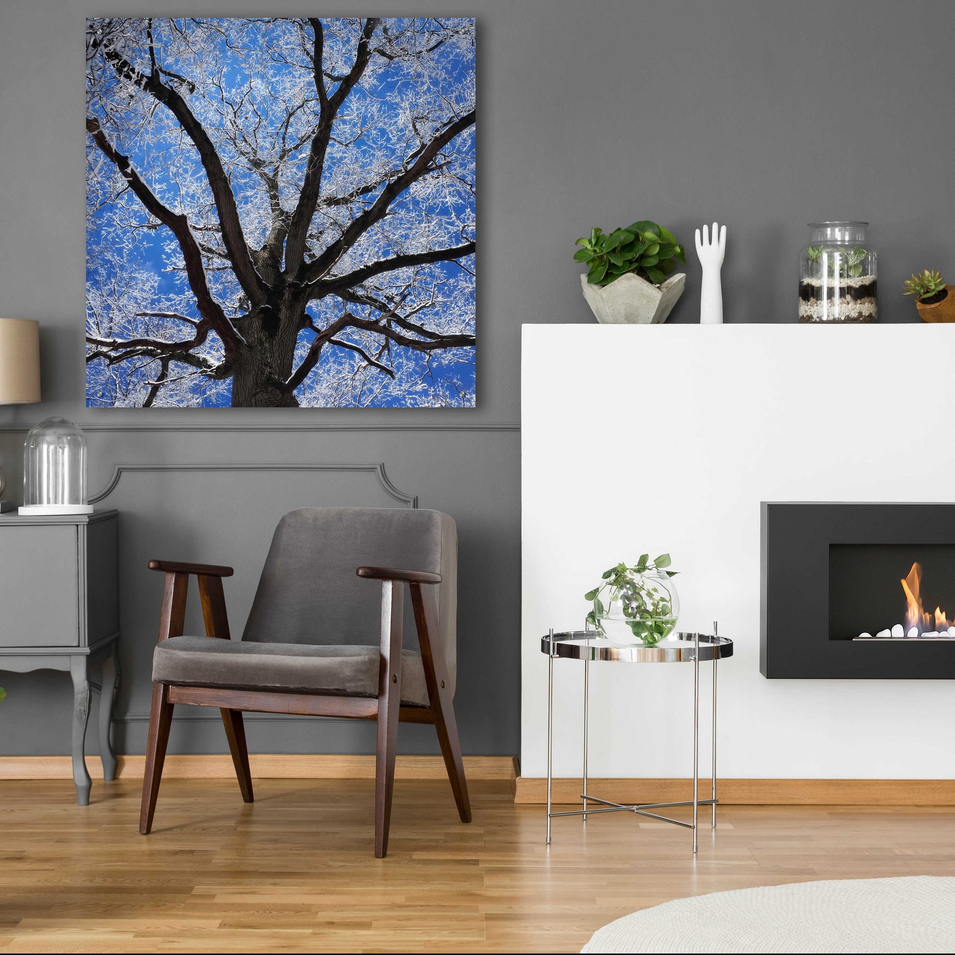 Epic Art 'Snow Covered Tree' by Jan Bell Acrylic Glass Wall Art,36x36