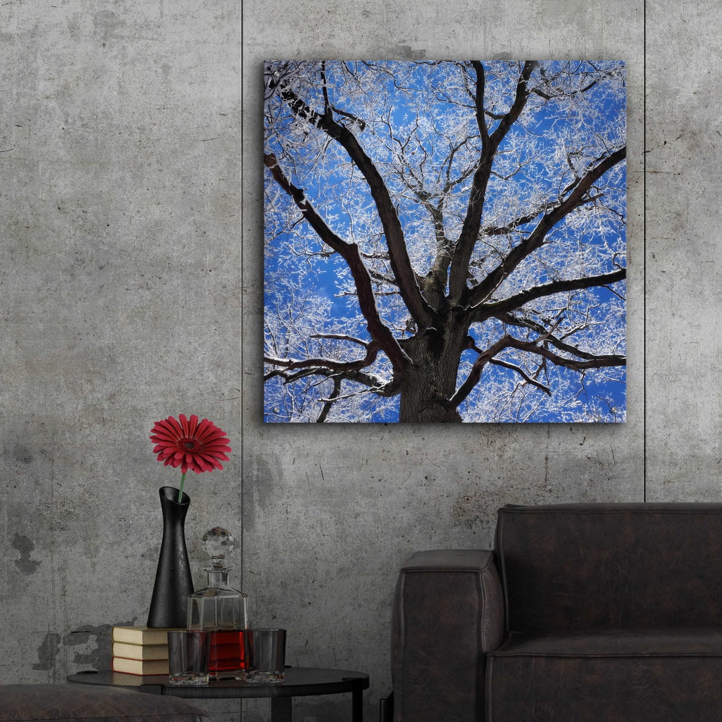 Epic Art 'Snow Covered Tree' by Jan Bell Acrylic Glass Wall Art,36x36