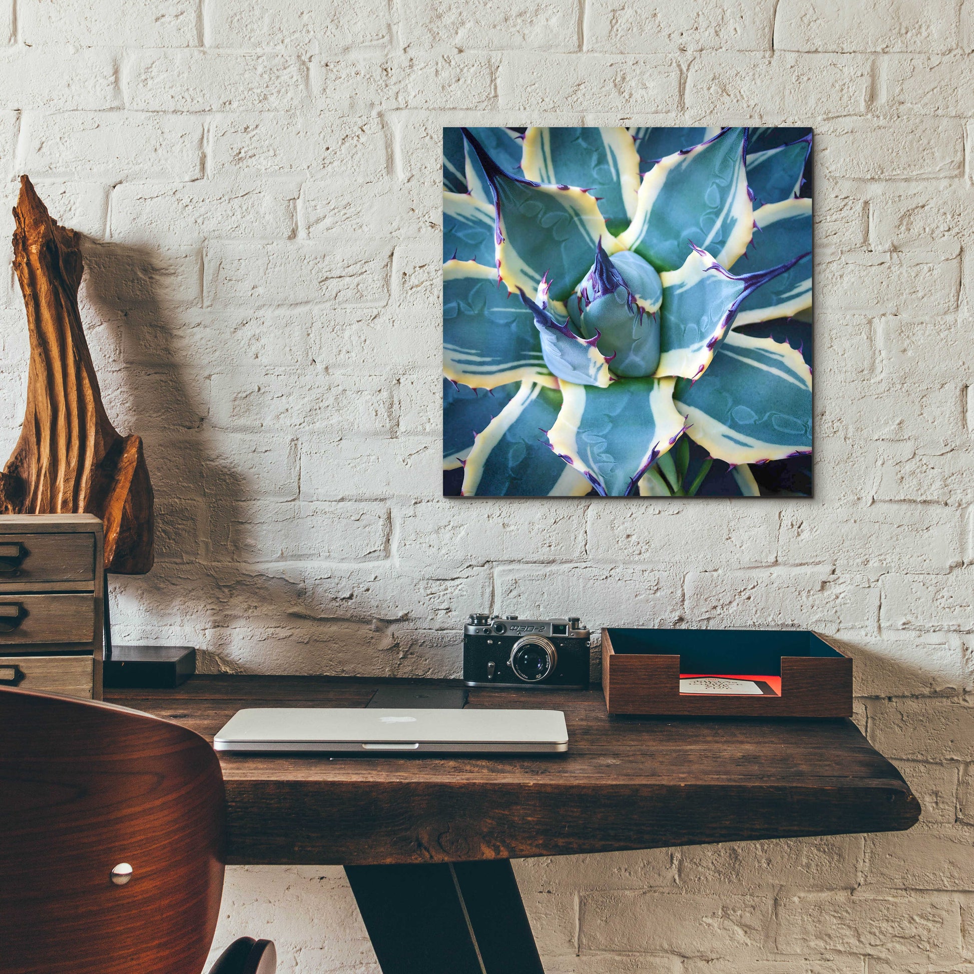 Epic Art 'Elegant Thorns' by Jan Bell Acrylic Glass Wall Art,12x12