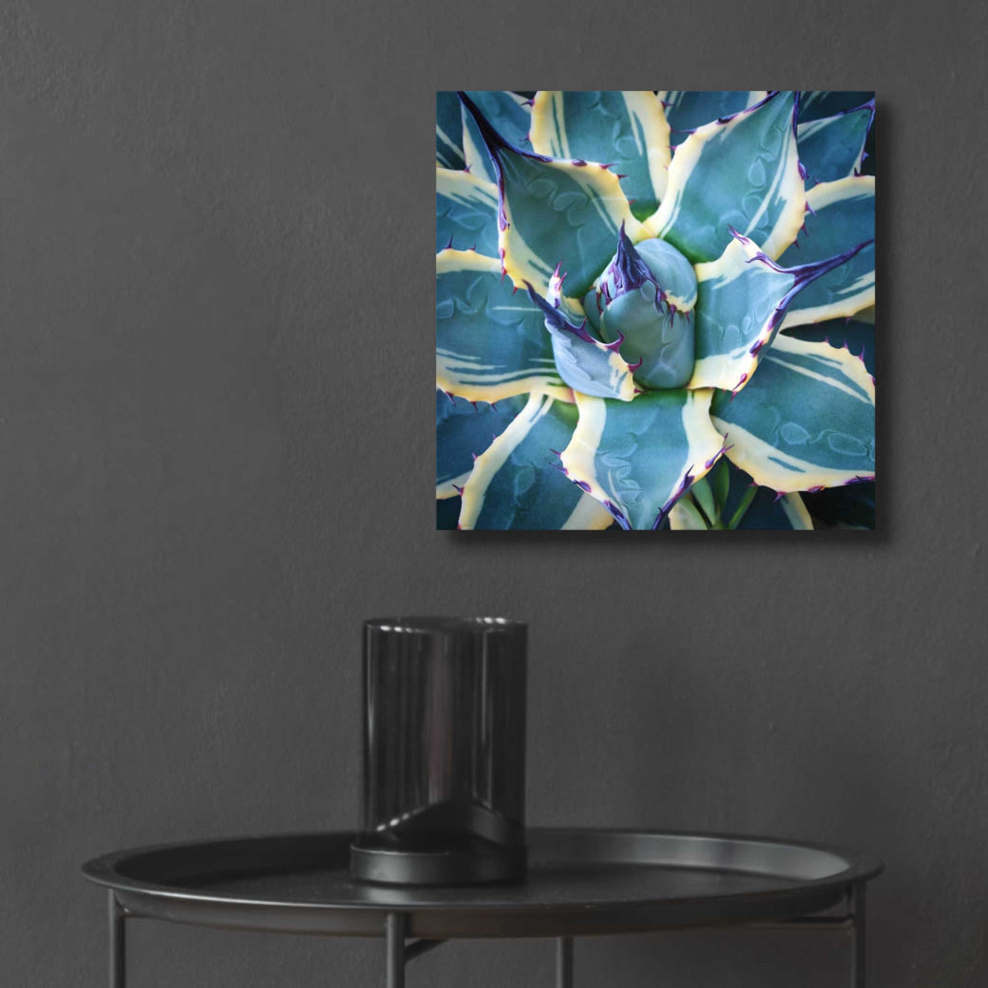 Epic Art 'Elegant Thorns' by Jan Bell Acrylic Glass Wall Art,12x12