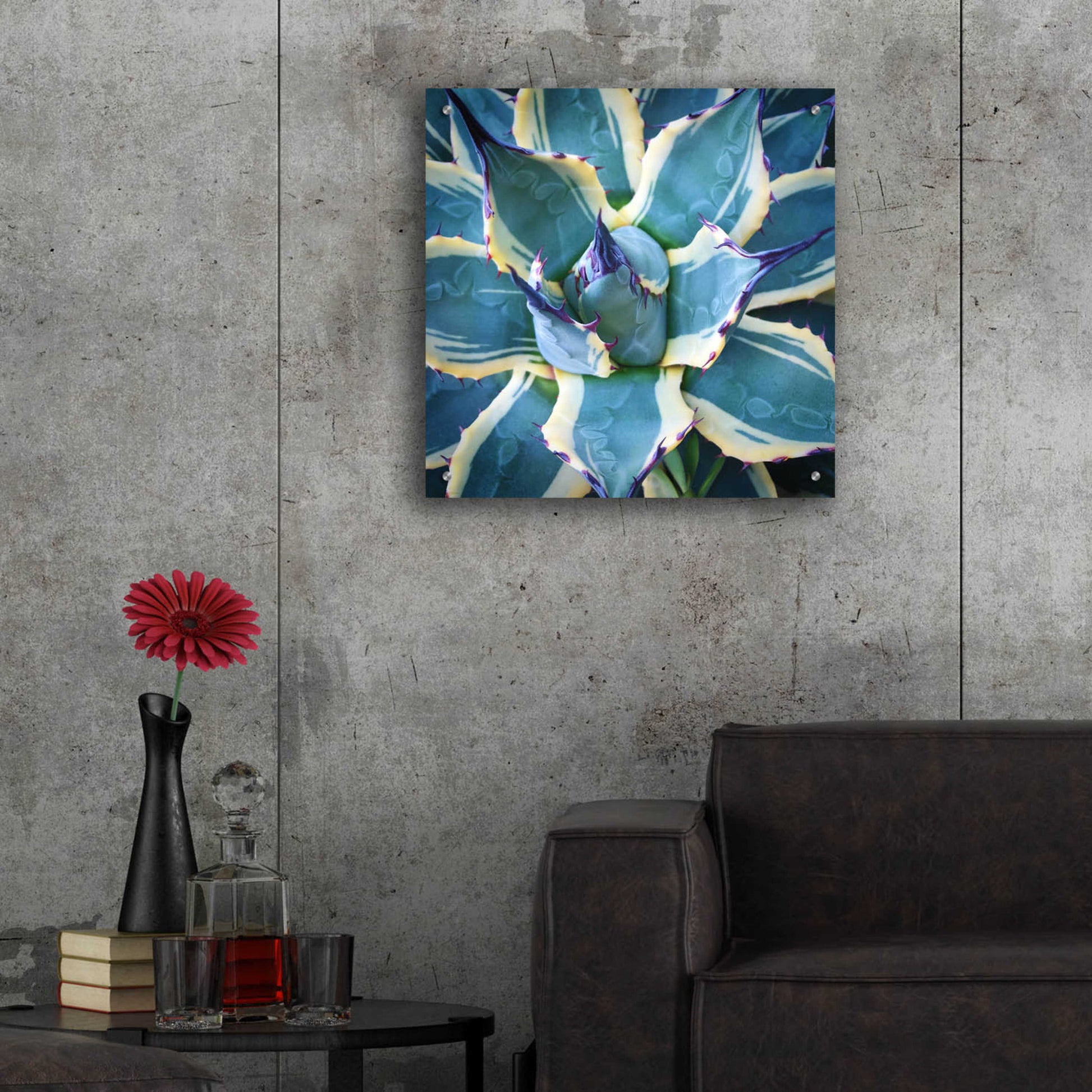 Epic Art 'Elegant Thorns' by Jan Bell Acrylic Glass Wall Art,24x24