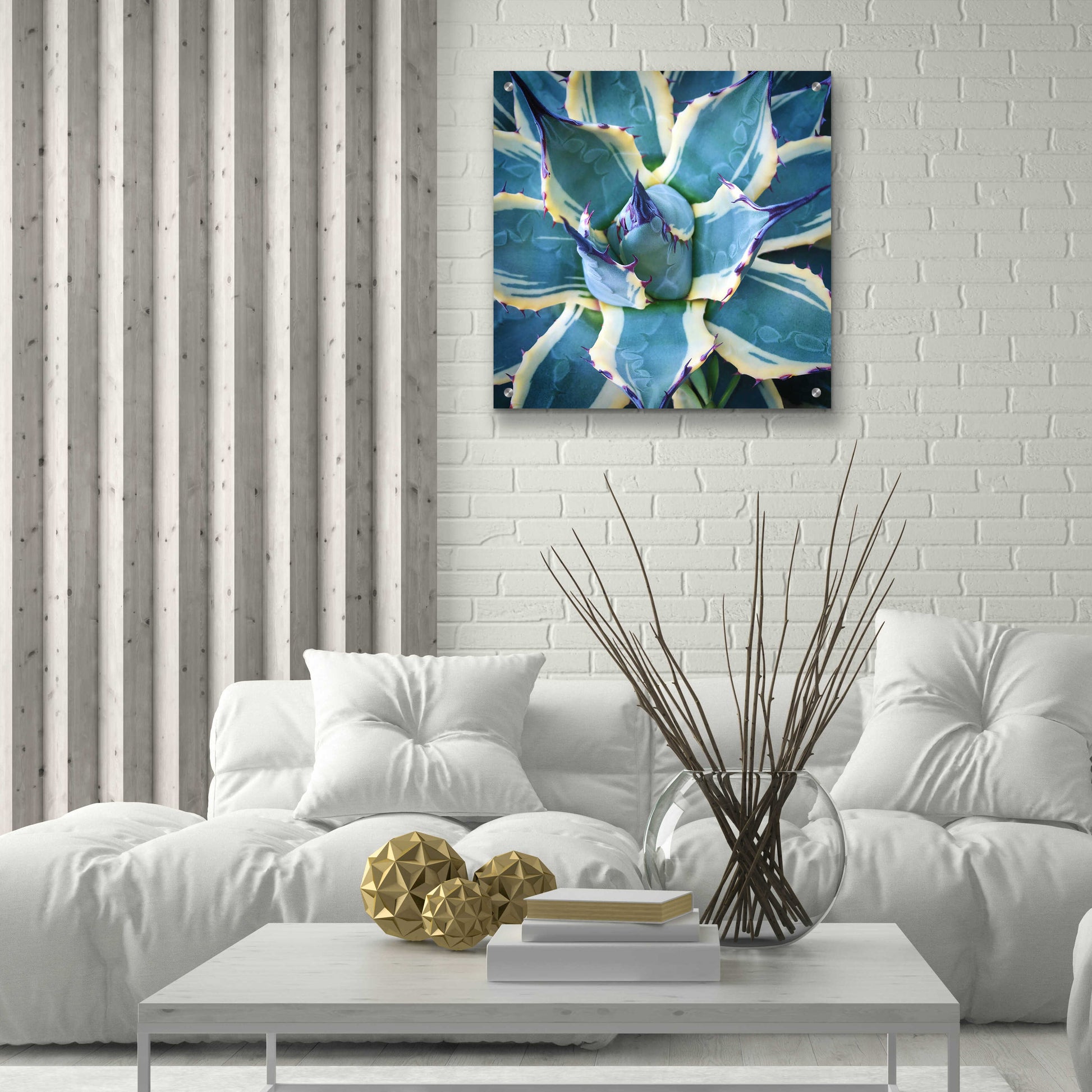 Epic Art 'Elegant Thorns' by Jan Bell Acrylic Glass Wall Art,24x24