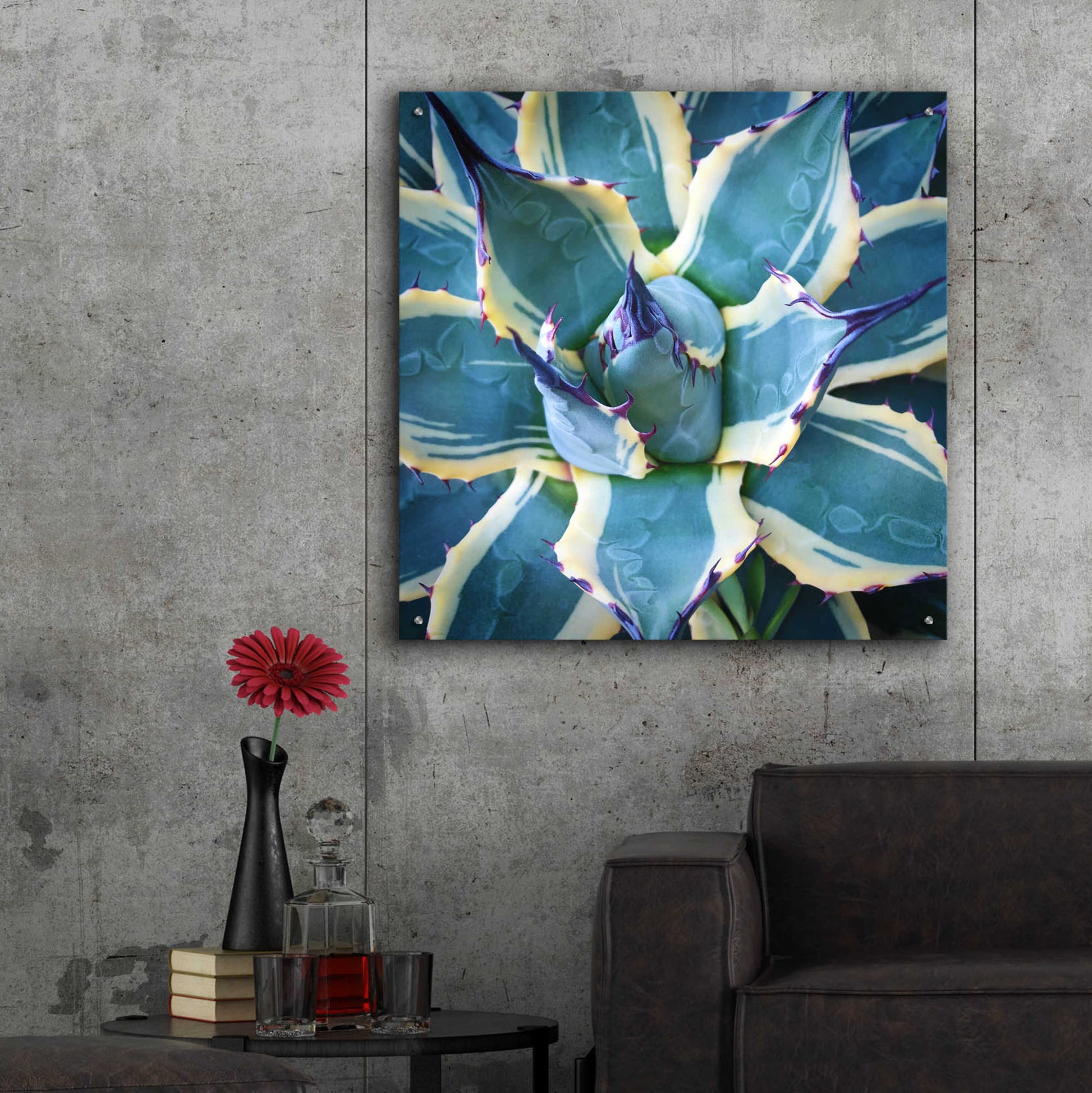 Epic Art 'Elegant Thorns' by Jan Bell Acrylic Glass Wall Art,36x36