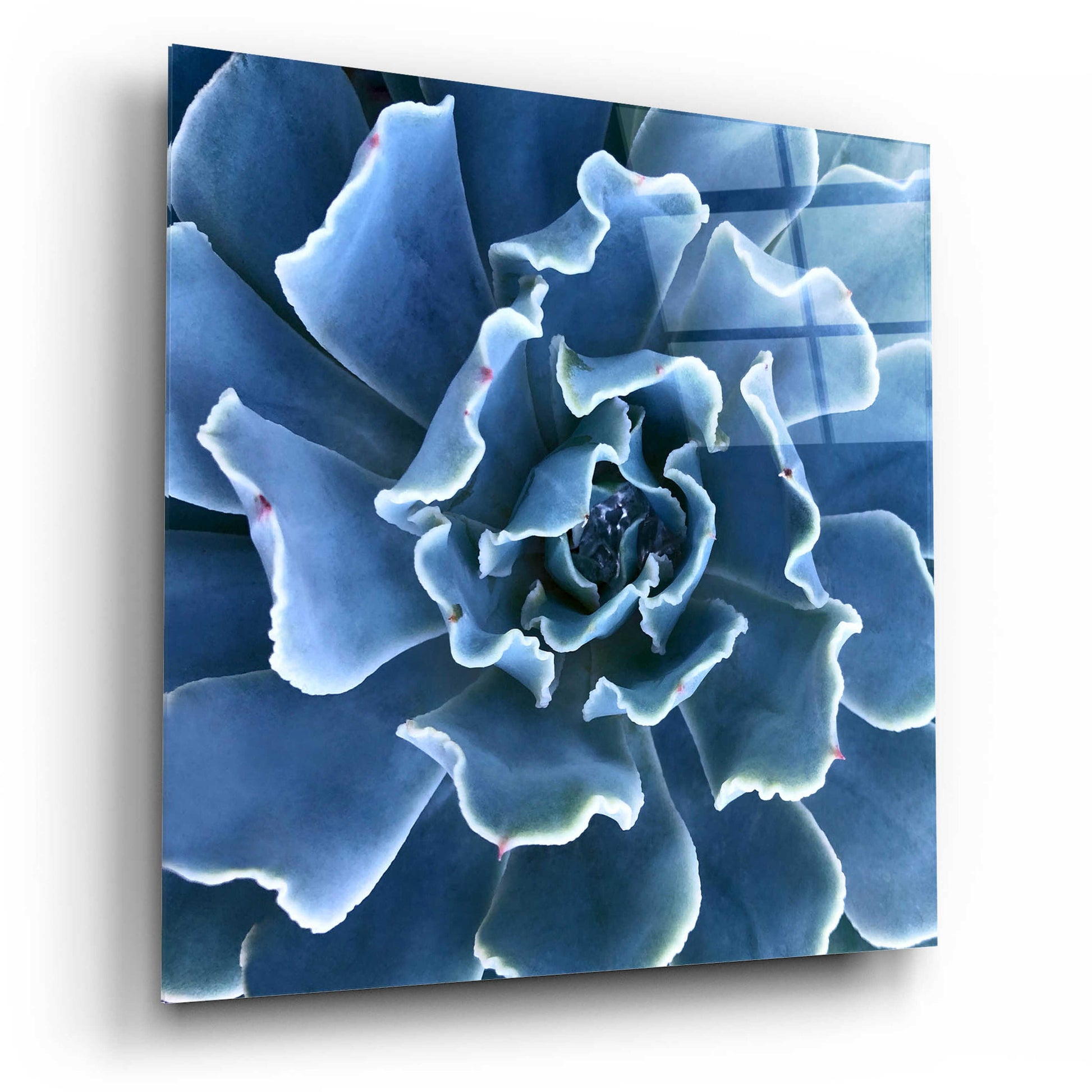 Epic Art 'Ruffled Edges' by Jan Bell Acrylic Glass Wall Art,12x12