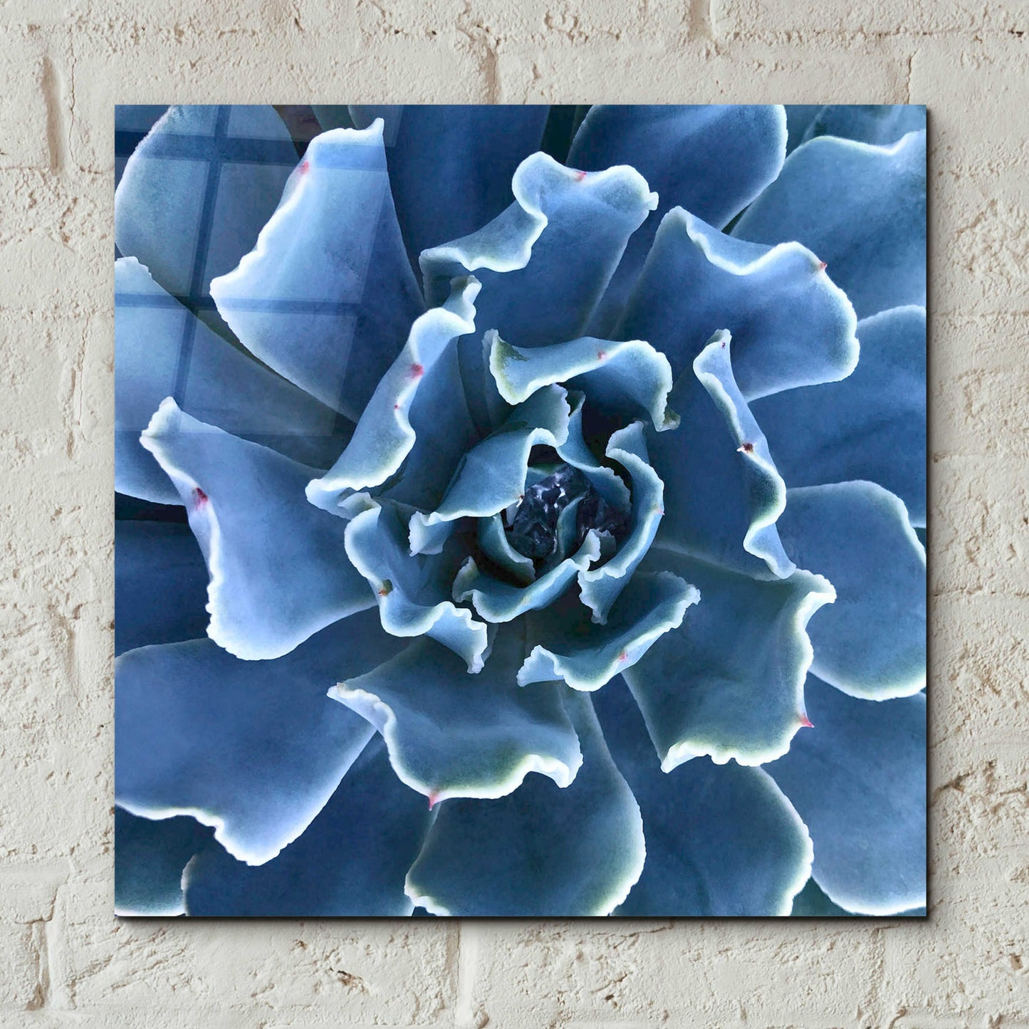 Epic Art 'Ruffled Edges' by Jan Bell Acrylic Glass Wall Art,12x12