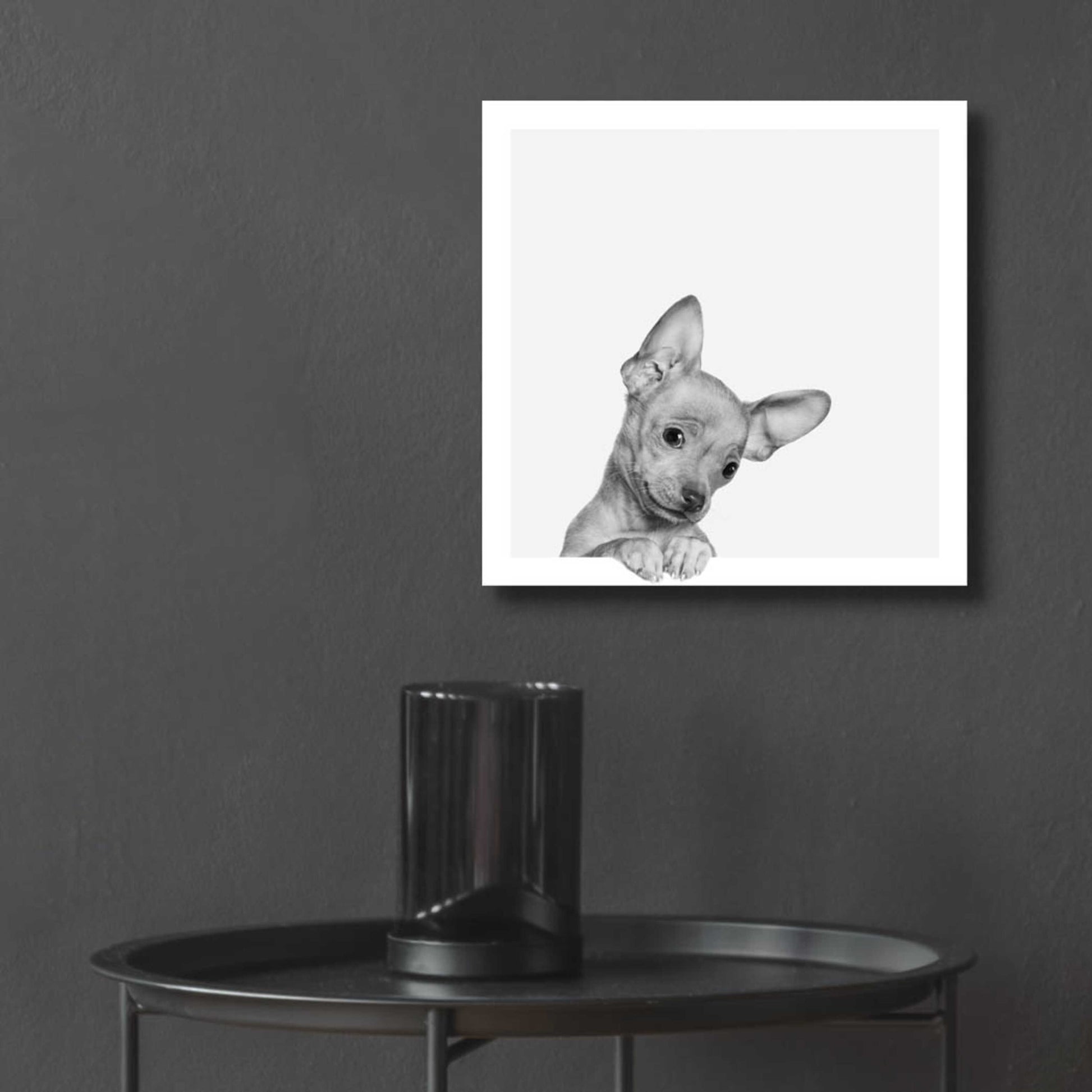 Epic Art 'Sweet Chihuahua' by Jon Bertelli Acrylic Glass Wall Art,12x12