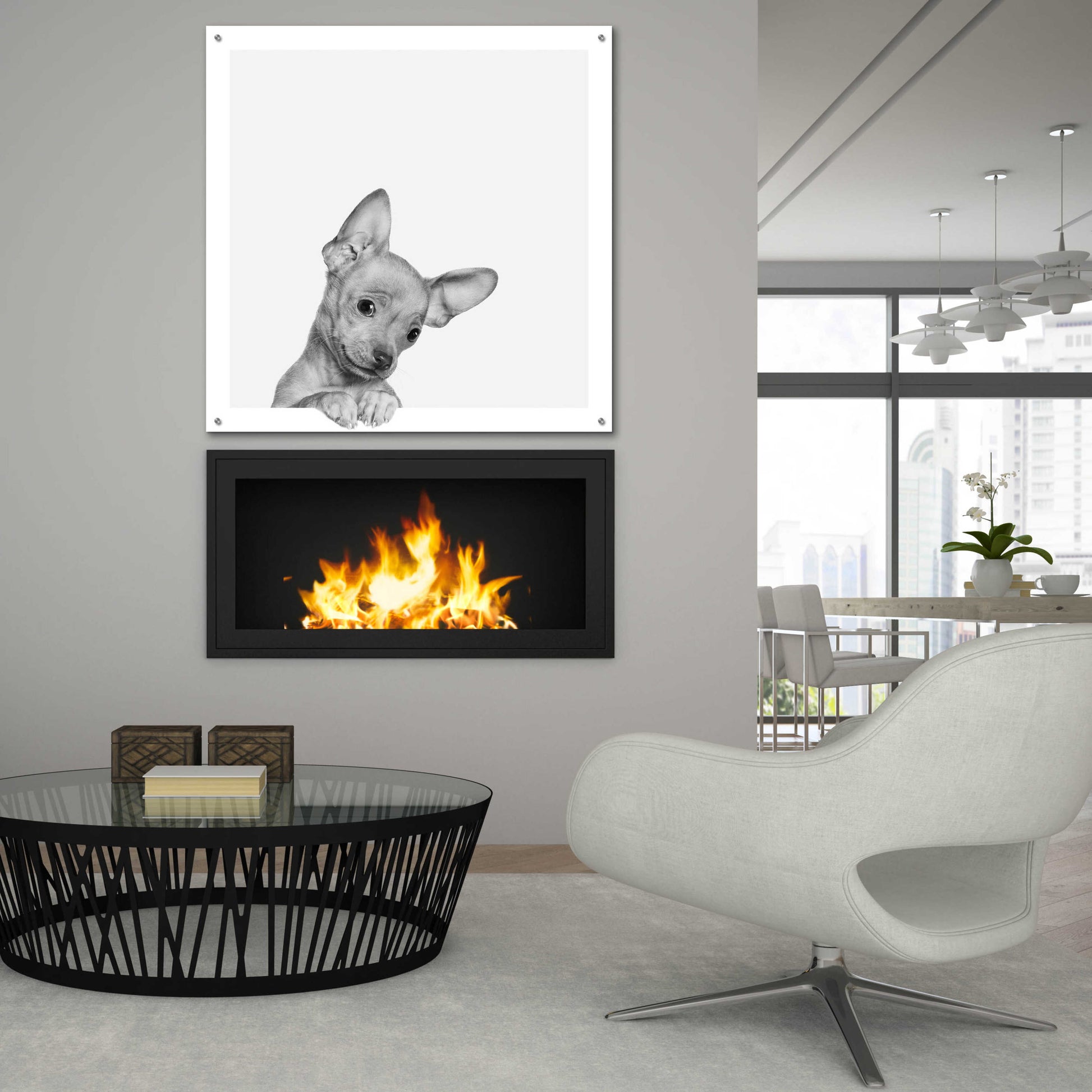 Epic Art 'Sweet Chihuahua' by Jon Bertelli Acrylic Glass Wall Art,36x36