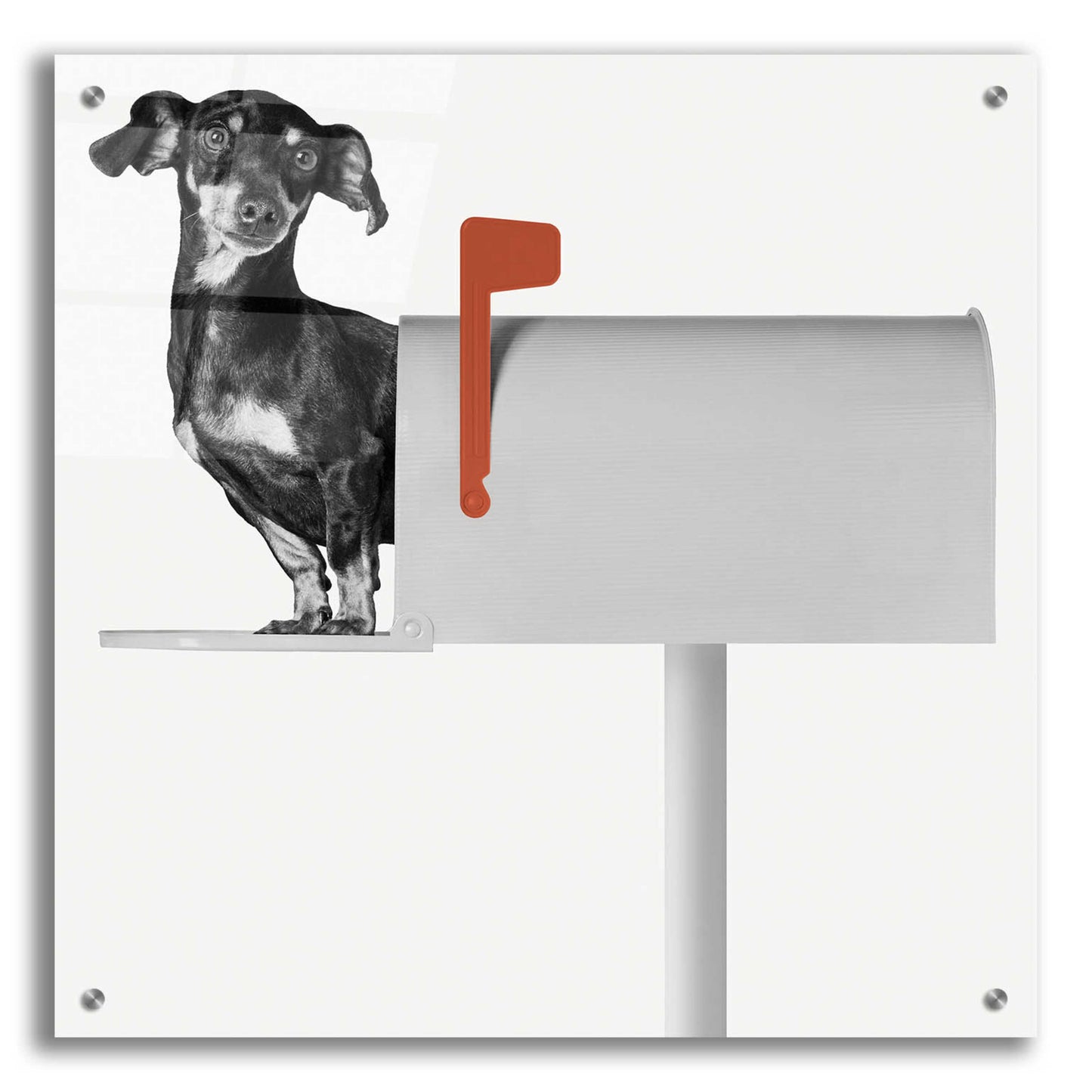 Epic Art 'You've Got Mail' by Jon Bertelli Acrylic Glass Wall Art,24x24