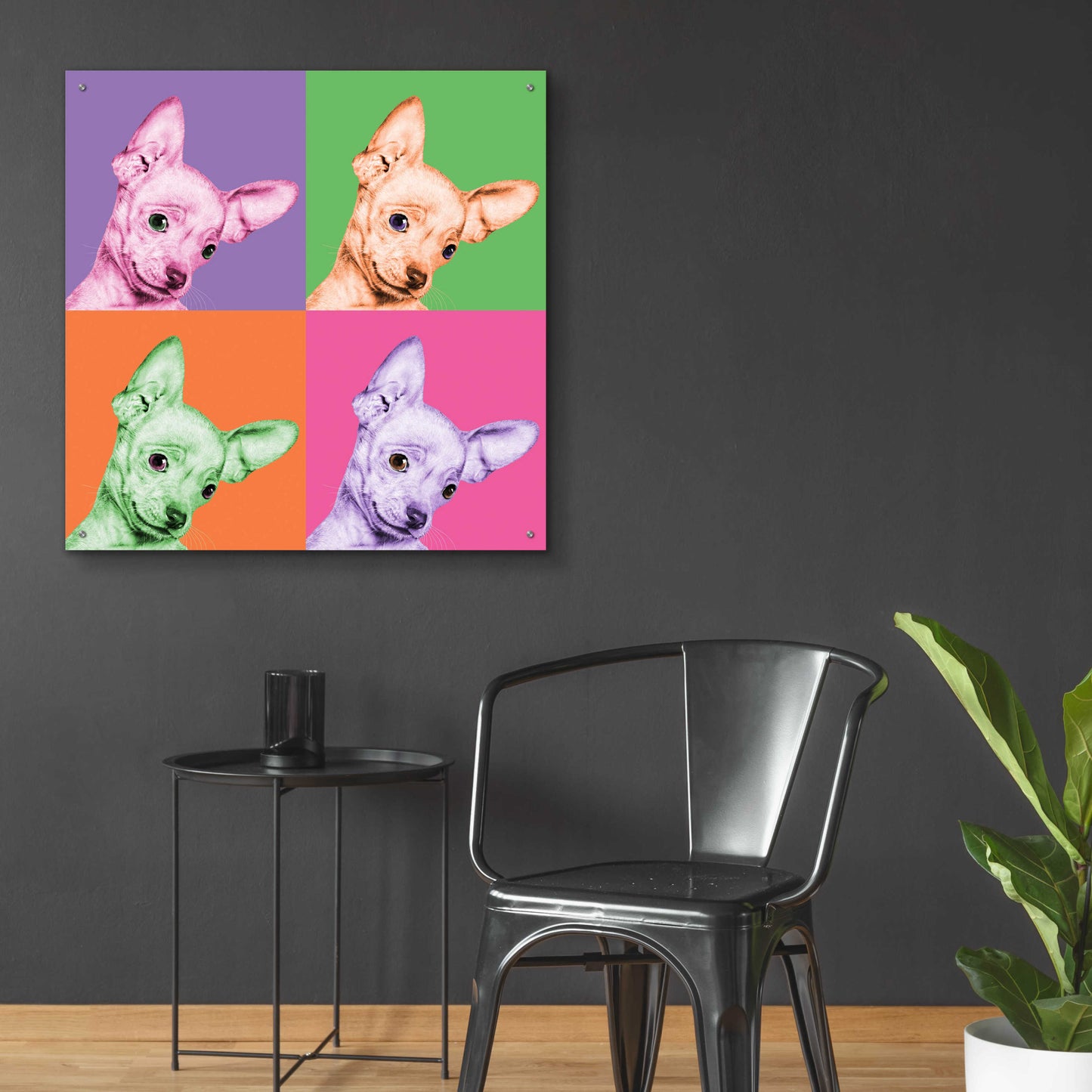 Epic Art 'Sweet Chihuahua Pop' by Jon Bertelli Acrylic Glass Wall Art,36x36