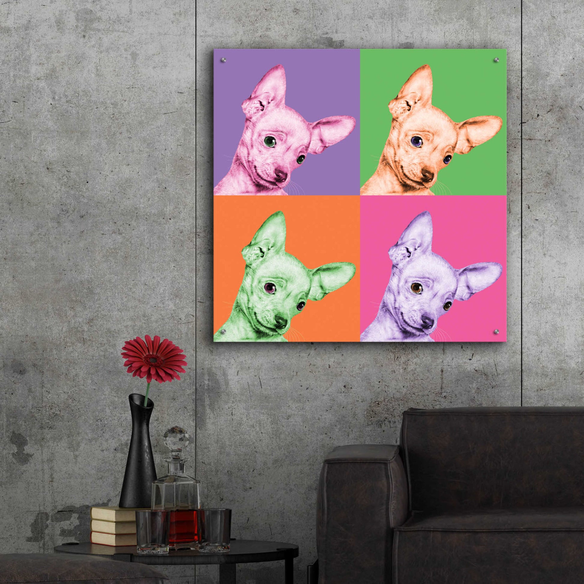 Epic Art 'Sweet Chihuahua Pop' by Jon Bertelli Acrylic Glass Wall Art,36x36