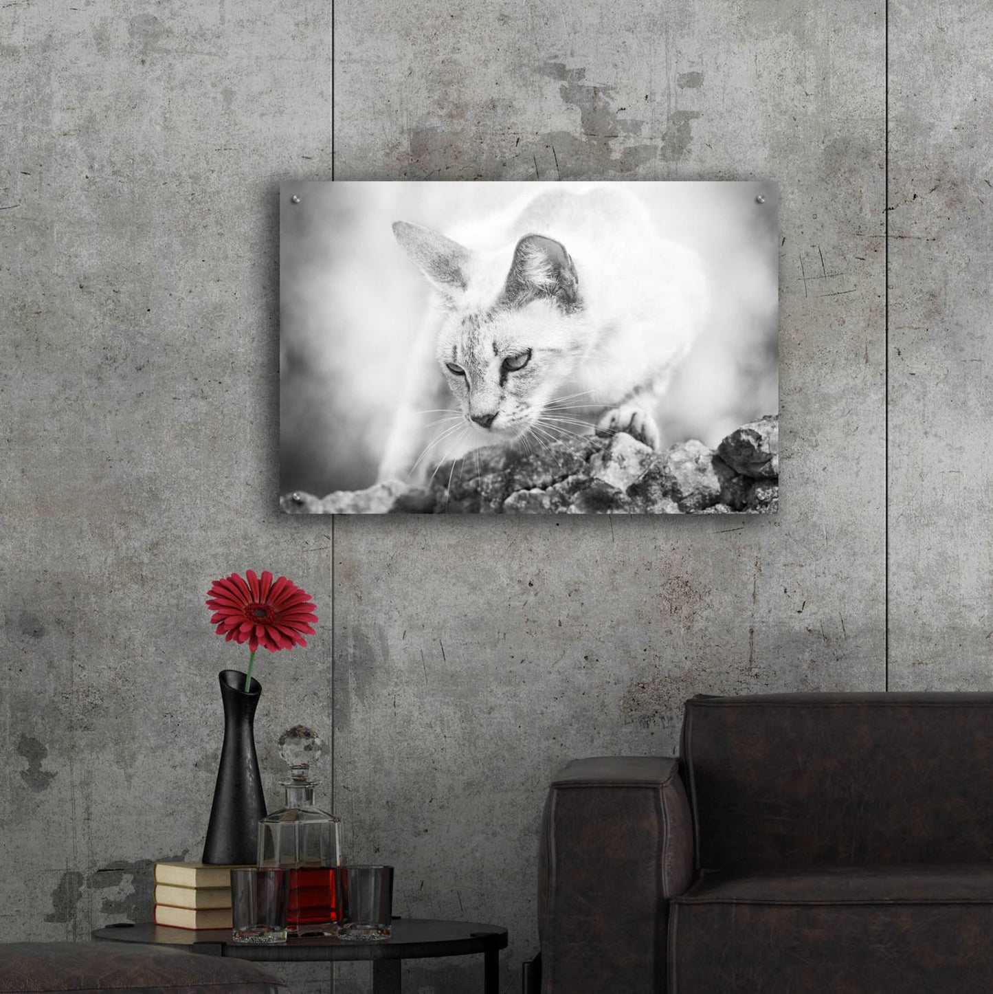 Epic Art 'The Heart of a Lion' by Jon Bertelli Acrylic Glass Wall Art,36x24