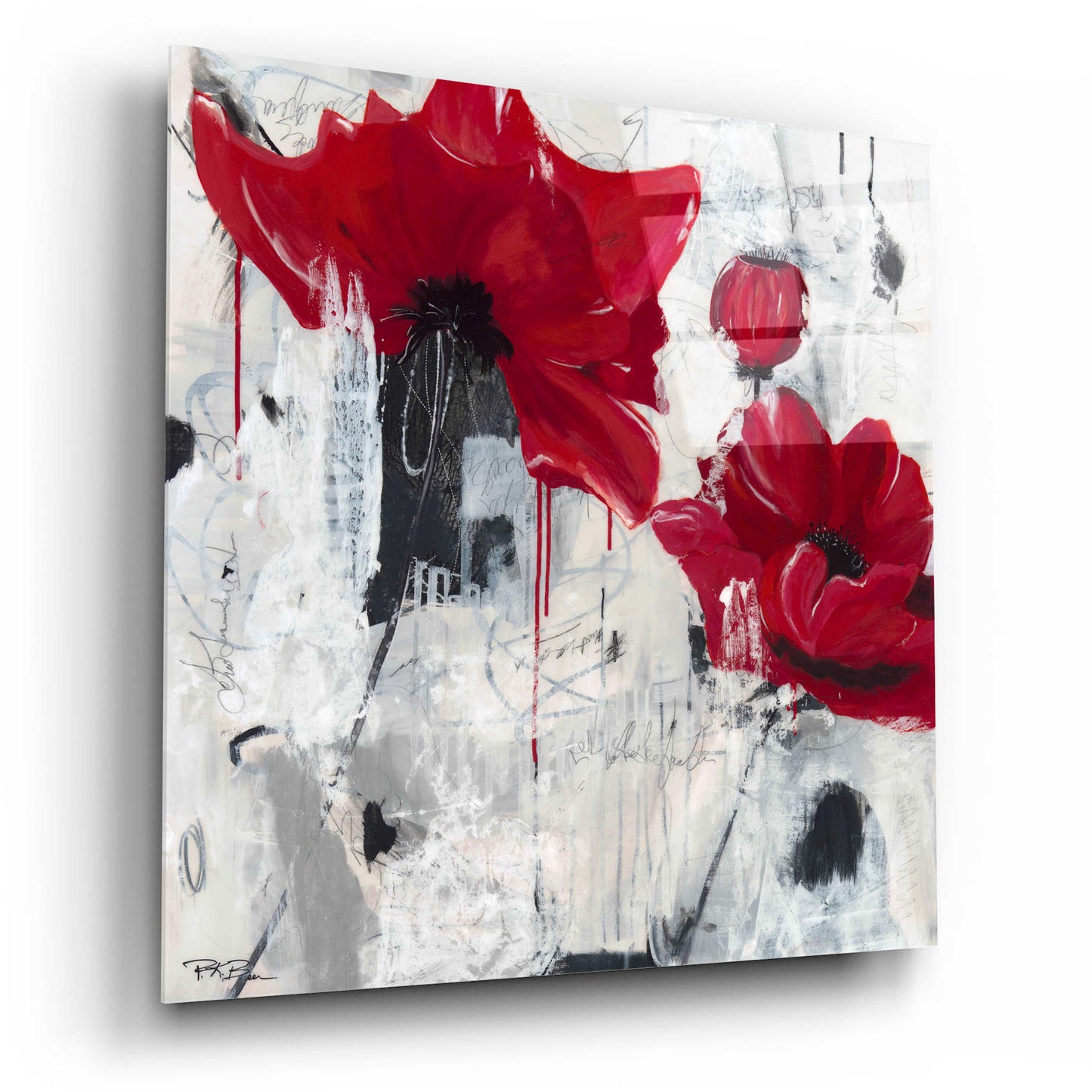 Epic Art 'Poppy Love' by Pamela K. Beer Acrylic Glass Wall Art,12x12