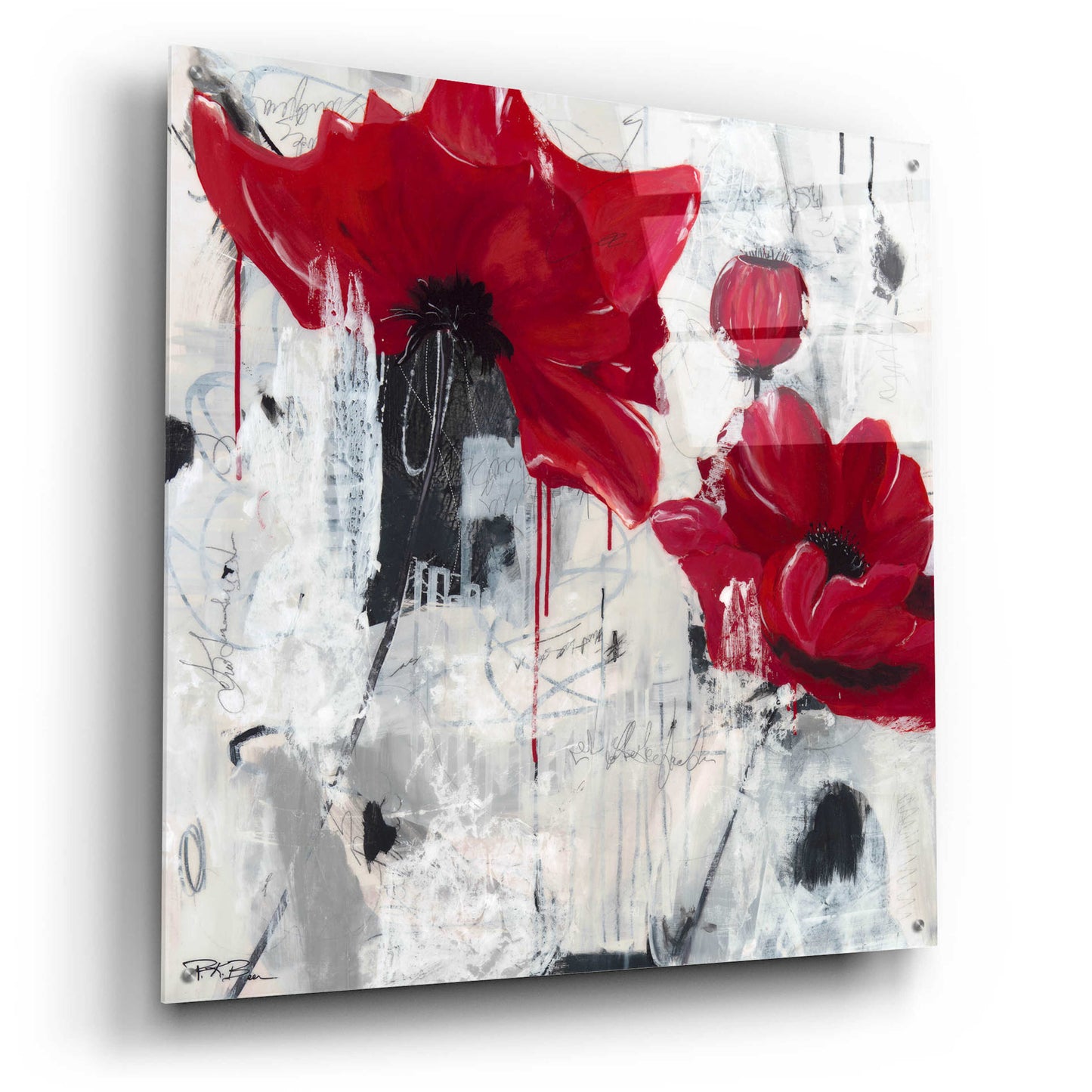 Epic Art 'Poppy Love' by Pamela K. Beer Acrylic Glass Wall Art,36x36