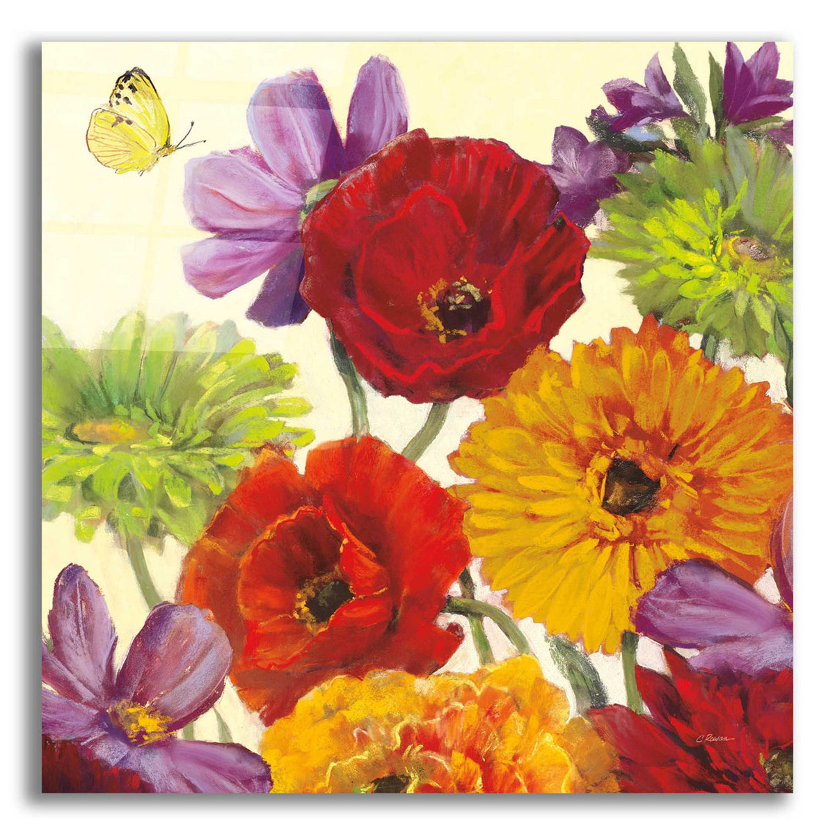 Butterfly Flower Scatter III by Carol Rowan acrylic glass wall art