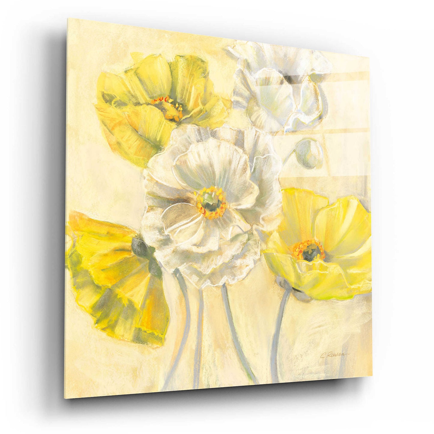 Epic Art 'Gold And White Contemporary Poppies I' by Carol Rowan, Acrylic Glass Wall Art,12x12