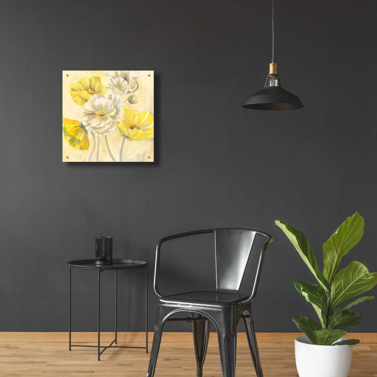Epic Art 'Gold And White Contemporary Poppies I' by Carol Rowan, Acrylic Glass Wall Art,24x24