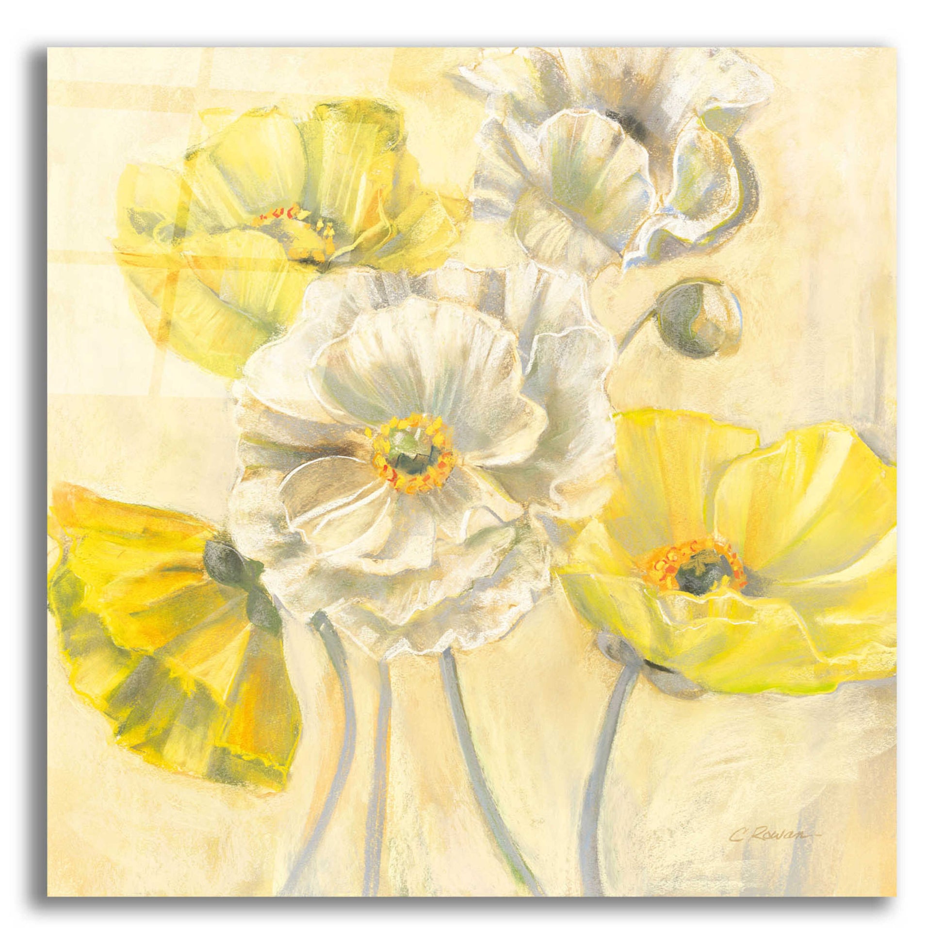 Epic Art 'Gold And White Contemporary Poppies I' by Carol Rowan, Acrylic Glass Wall Art