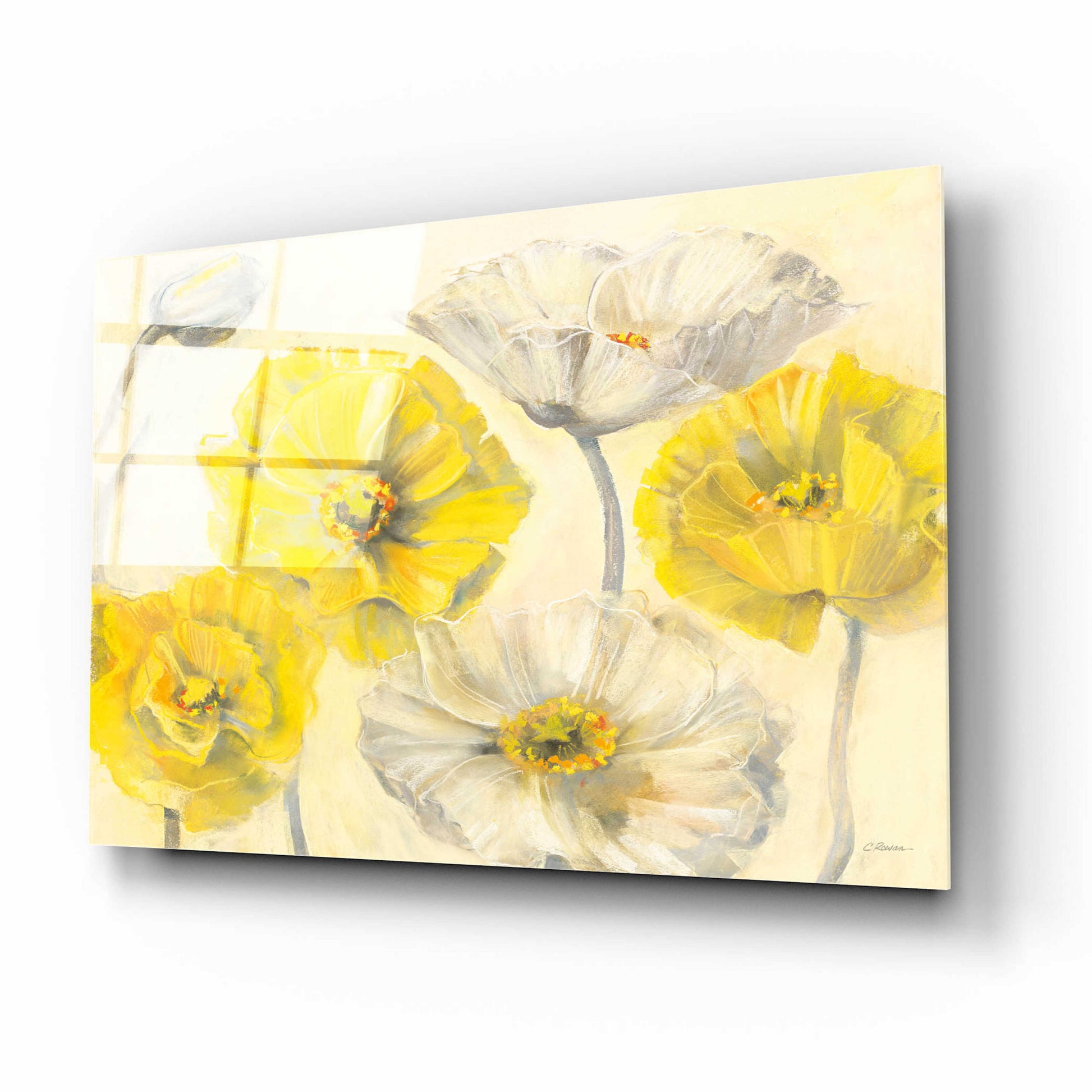 Epic Art 'Comtemporary Poppies I' by Carol Rowan, Acrylic Glass Wall Art,16x12