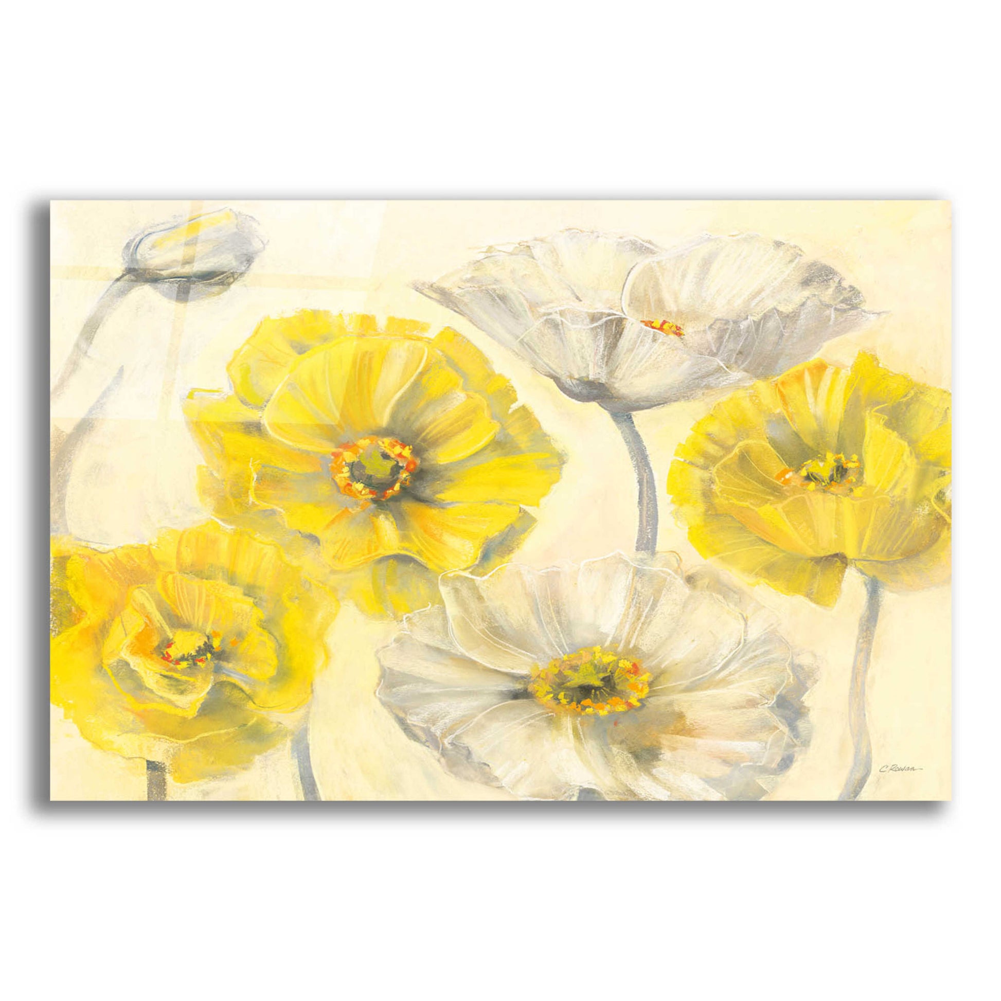 Epic Art 'Comtemporary Poppies I' by Carol Rowan, Acrylic Glass Wall Art,24x16