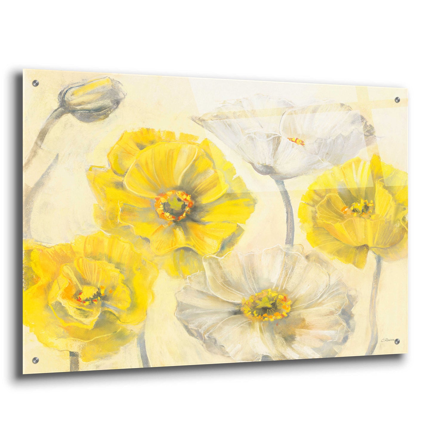 Epic Art 'Comtemporary Poppies I' by Carol Rowan, Acrylic Glass Wall Art,36x24