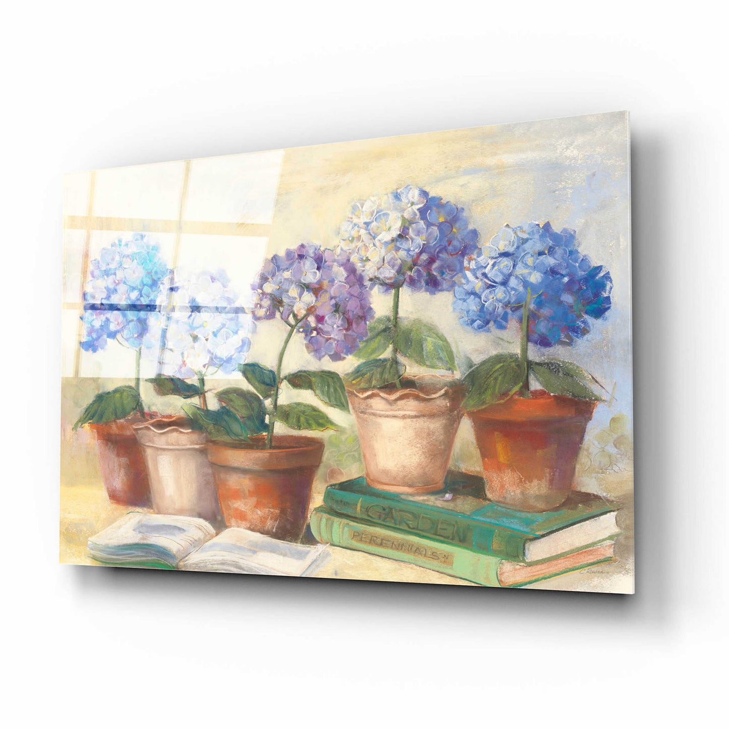 Epic Art 'Gardeners Hydrangeas' by Carol Rowan, Acrylic Glass Wall Art,16x12