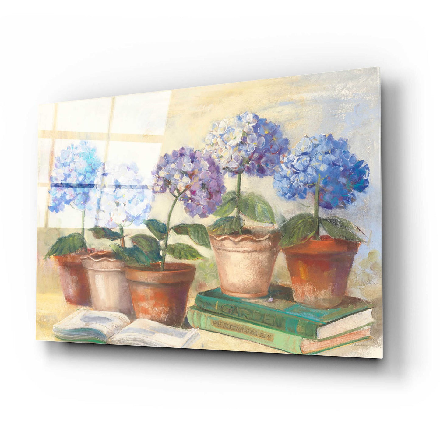 Epic Art 'Gardeners Hydrangeas' by Carol Rowan, Acrylic Glass Wall Art,24x16