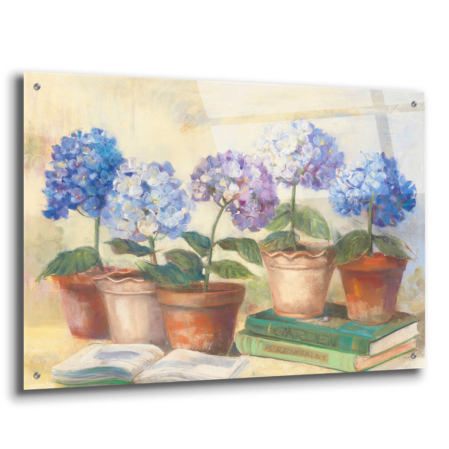 Epic Art 'Gardeners Hydrangeas' by Carol Rowan, Acrylic Glass Wall Art,36x24