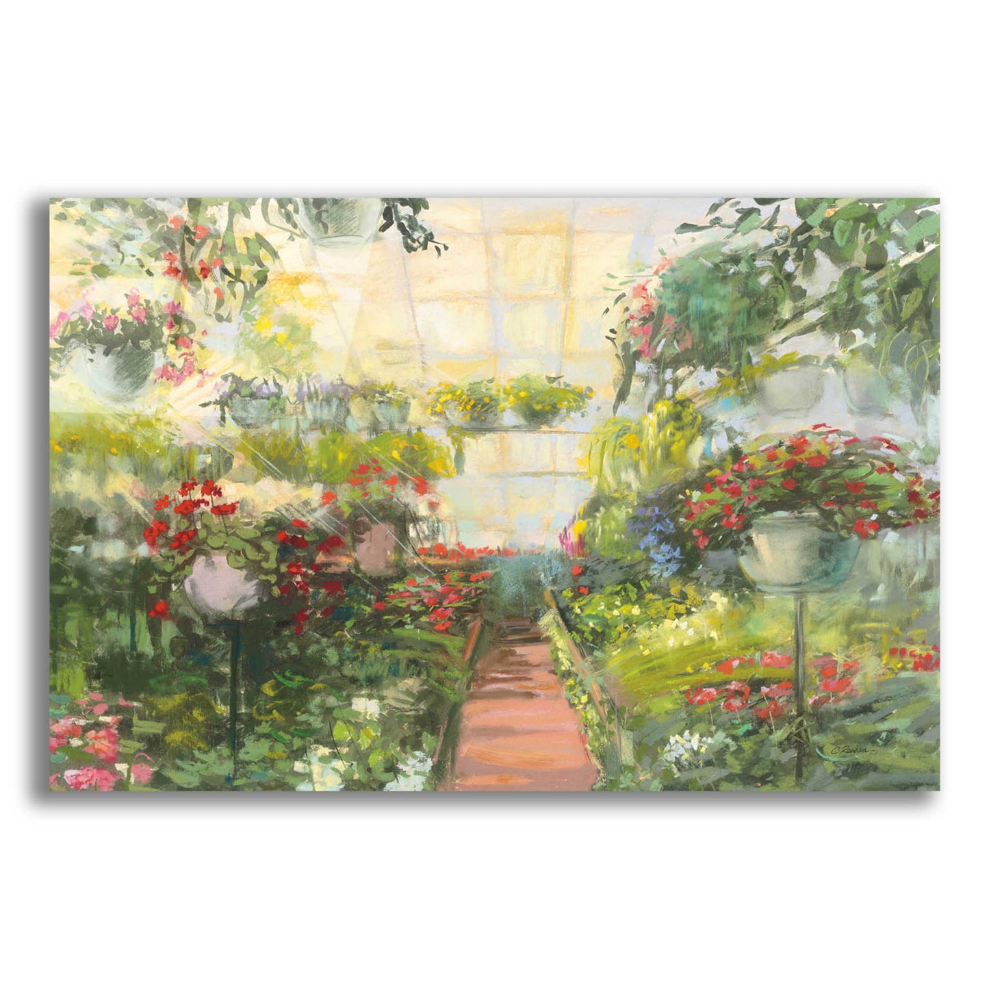 Epic Art 'Greenhouse Flowers Crop' by Carol Rowan, Acrylic Glass Wall Art,24x16