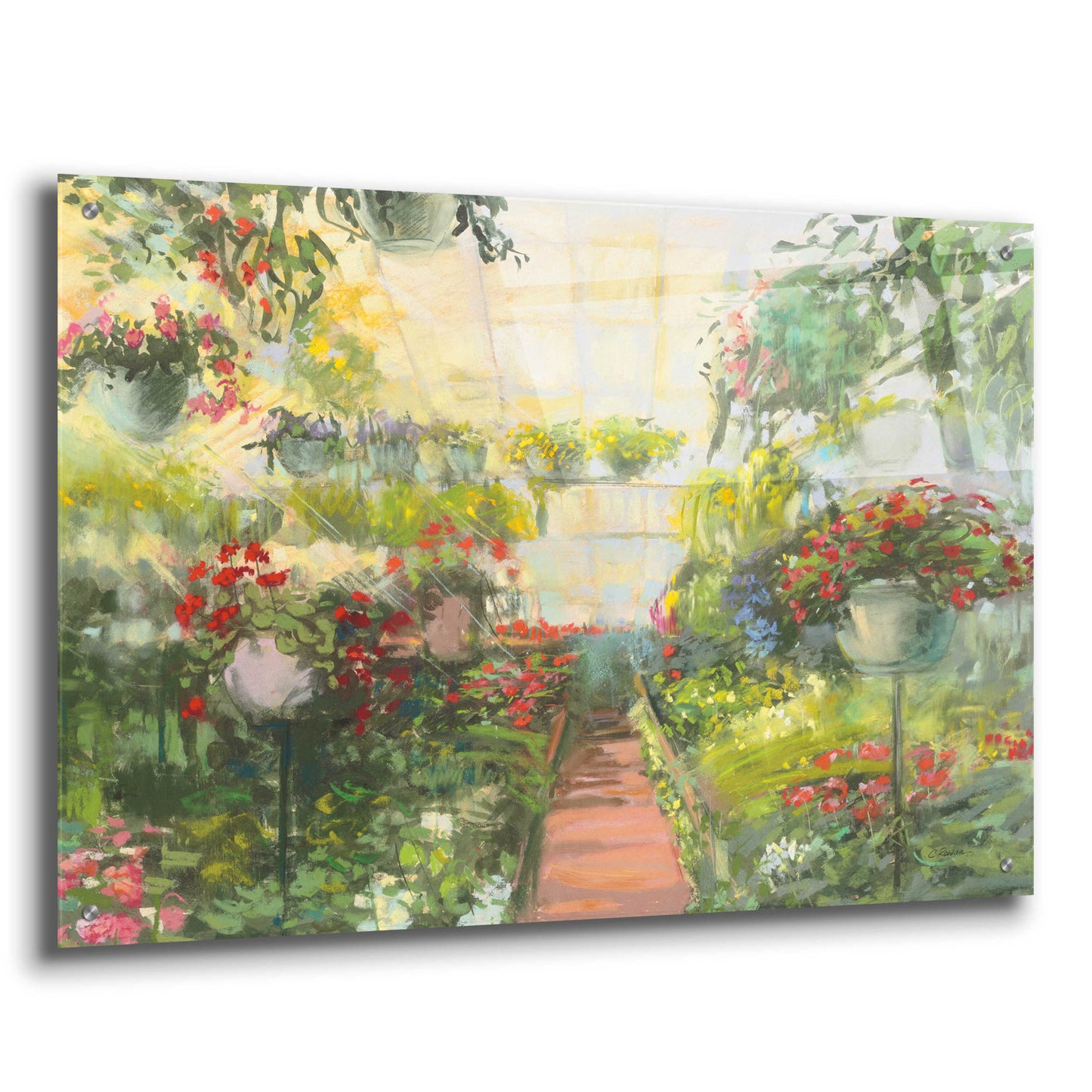 Epic Art 'Greenhouse Flowers Crop' by Carol Rowan, Acrylic Glass Wall Art,36x24