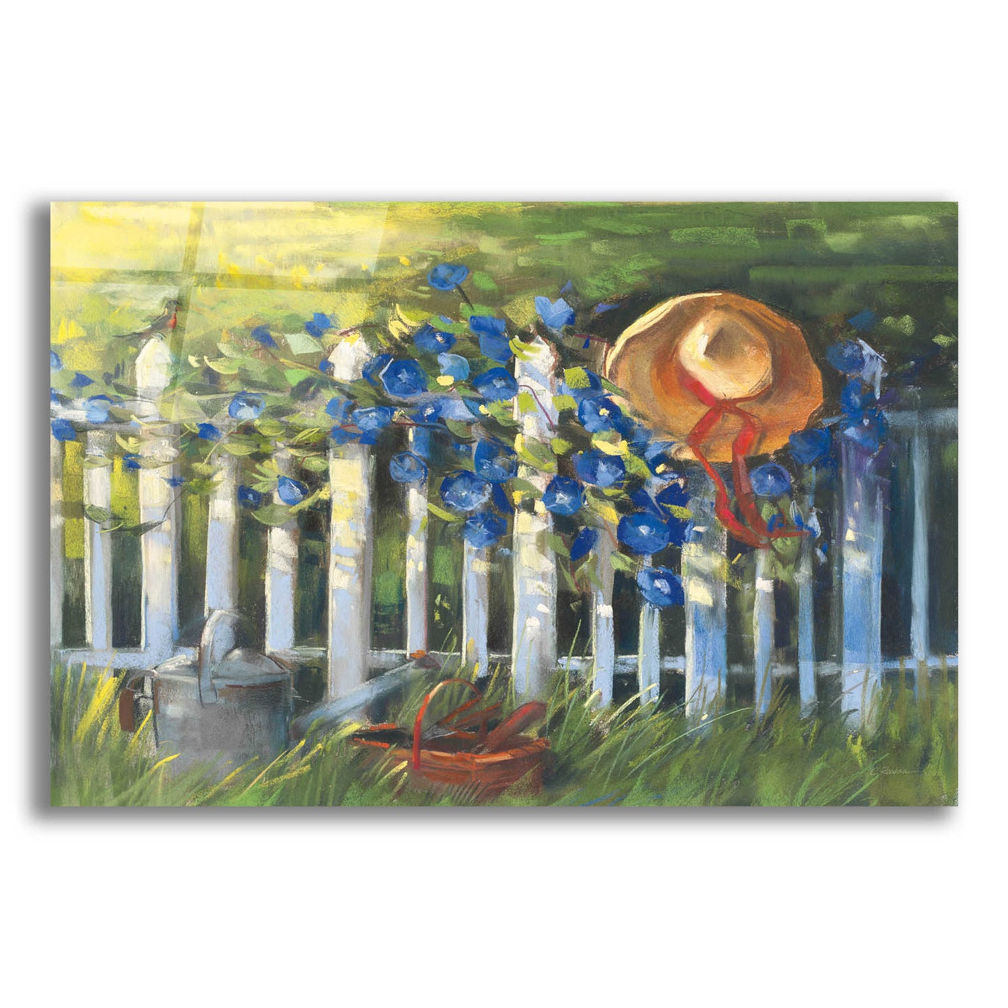 Epic Art 'Morning Glories On The Fence' by Carol Rowan, Acrylic Glass Wall Art,24x16