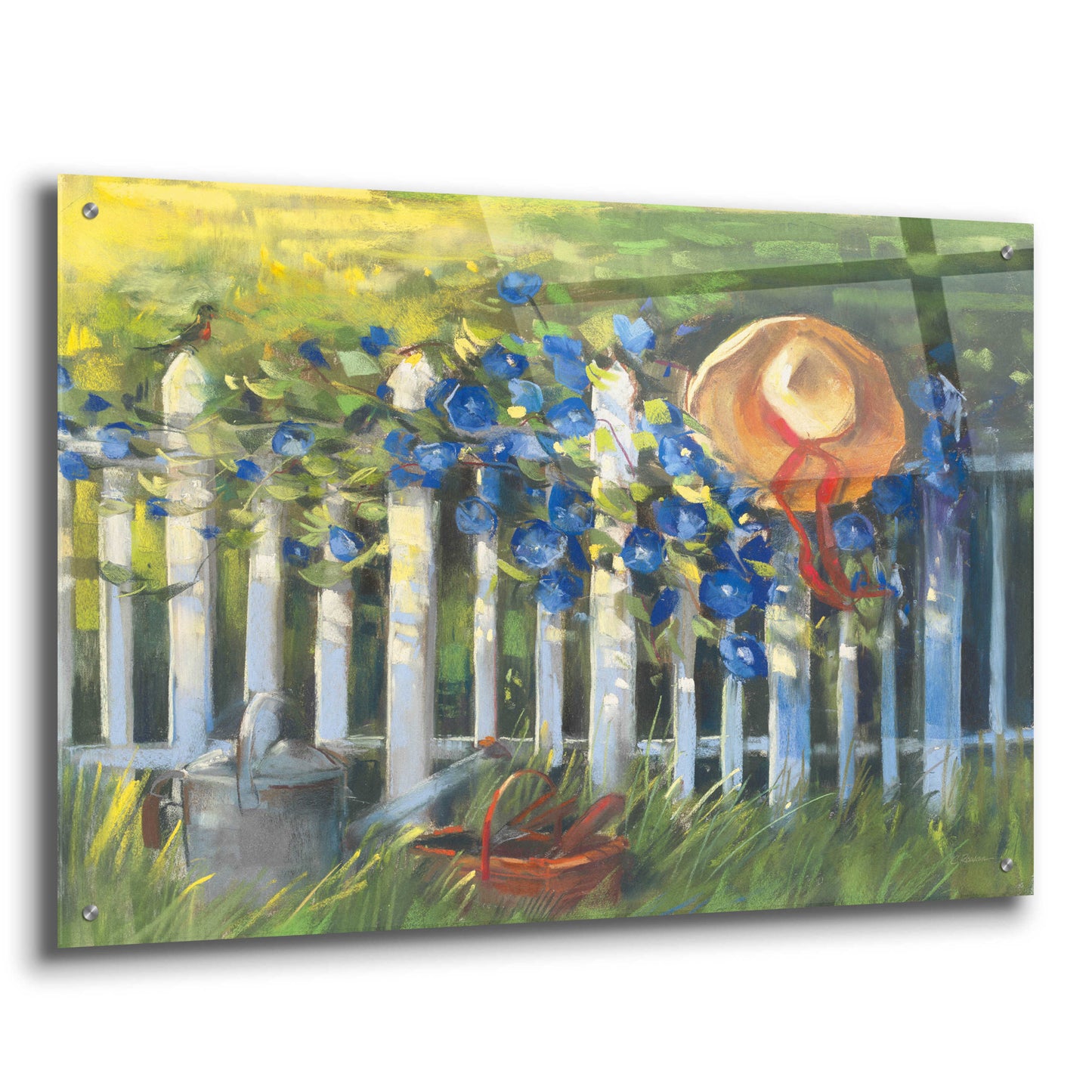 Epic Art 'Morning Glories On The Fence' by Carol Rowan, Acrylic Glass Wall Art,36x24