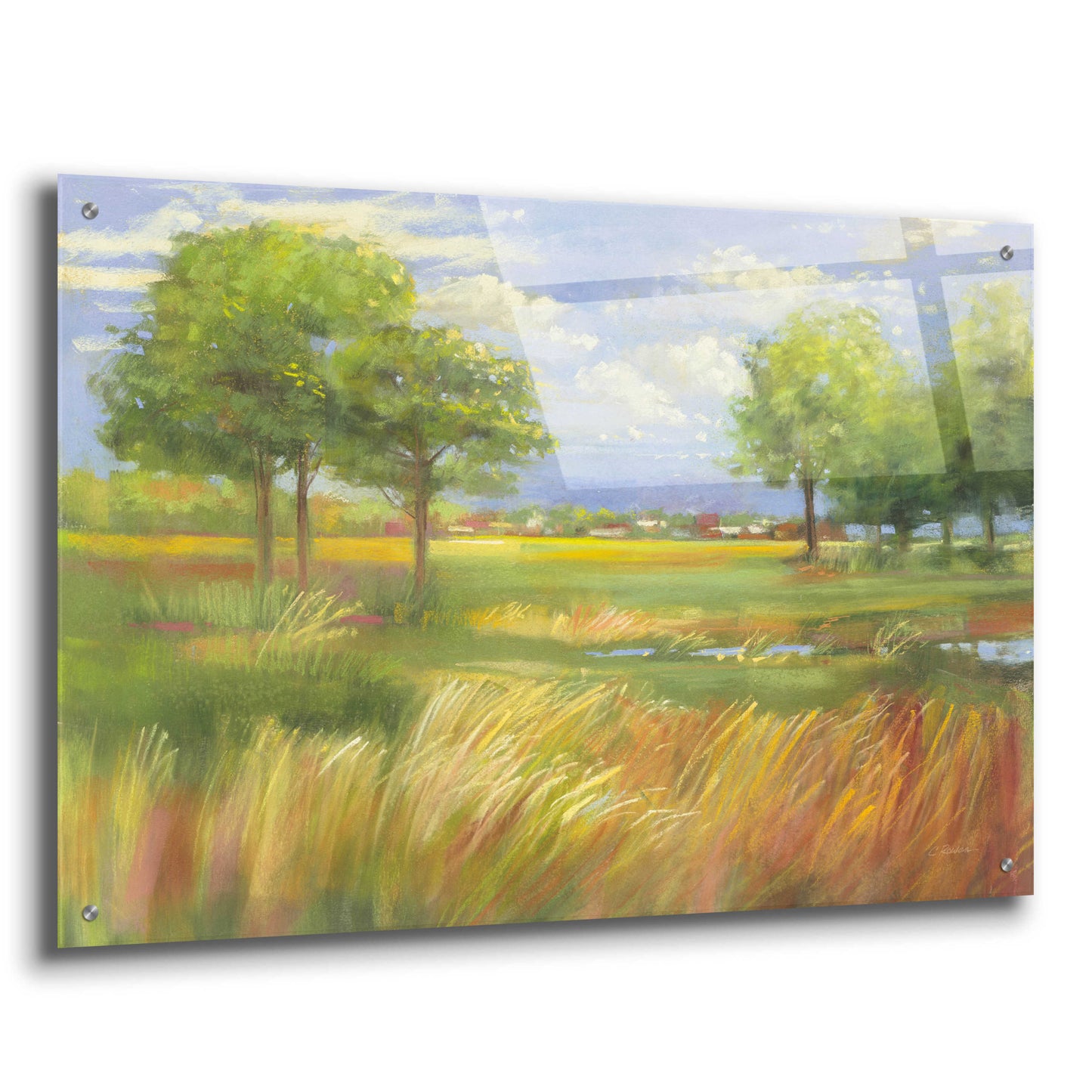 Epic Art 'Dawn By The Brook' by Carol Rowan, Acrylic Glass Wall Art,36x24