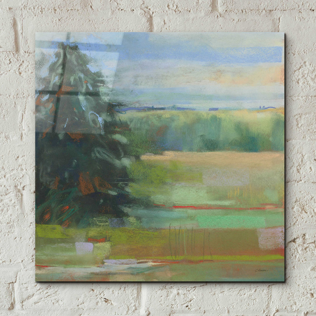 Abstract Field I by Carol Rowan - 12x12 acrylic wall art in a room