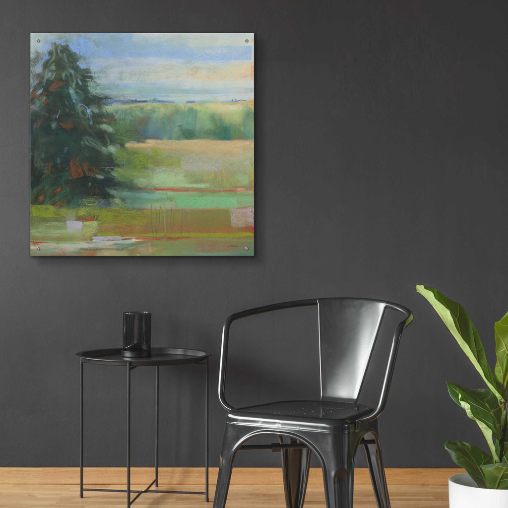 Abstract Field I by Carol Rowan - 36x36 acrylic wall art in a room