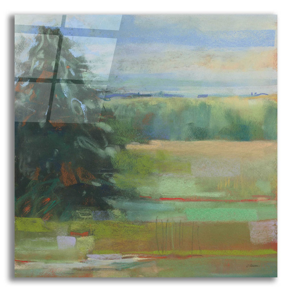 Abstract Field I by Carol Rowan acrylic glass wall art