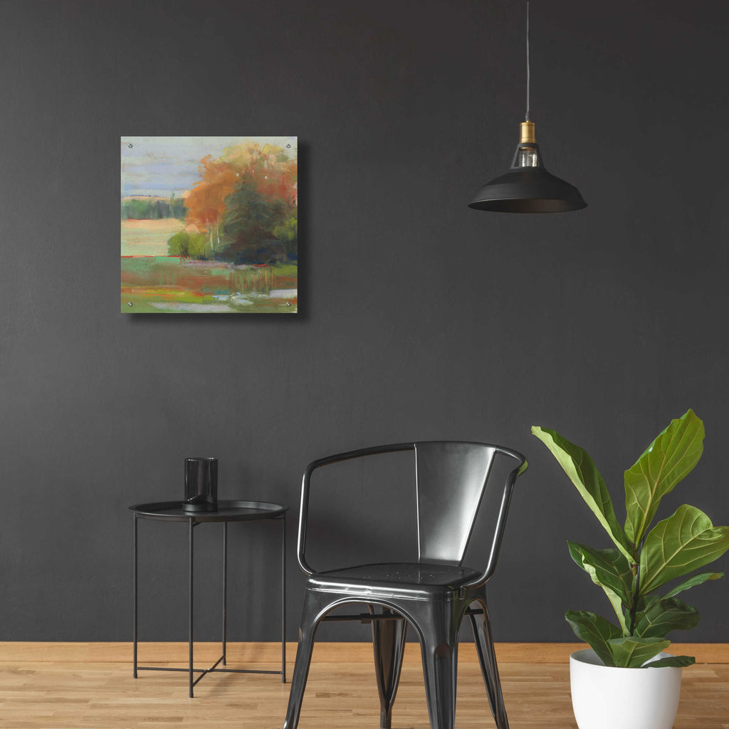 Abstract Field II by Carol Rowan - 24x24 acrylic wall art in a room