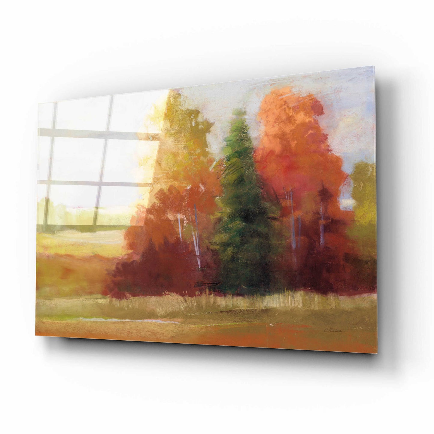 Epic Art 'Autumn Leaves' by Carol Rowan, Acrylic Glass Wall Art,16x12