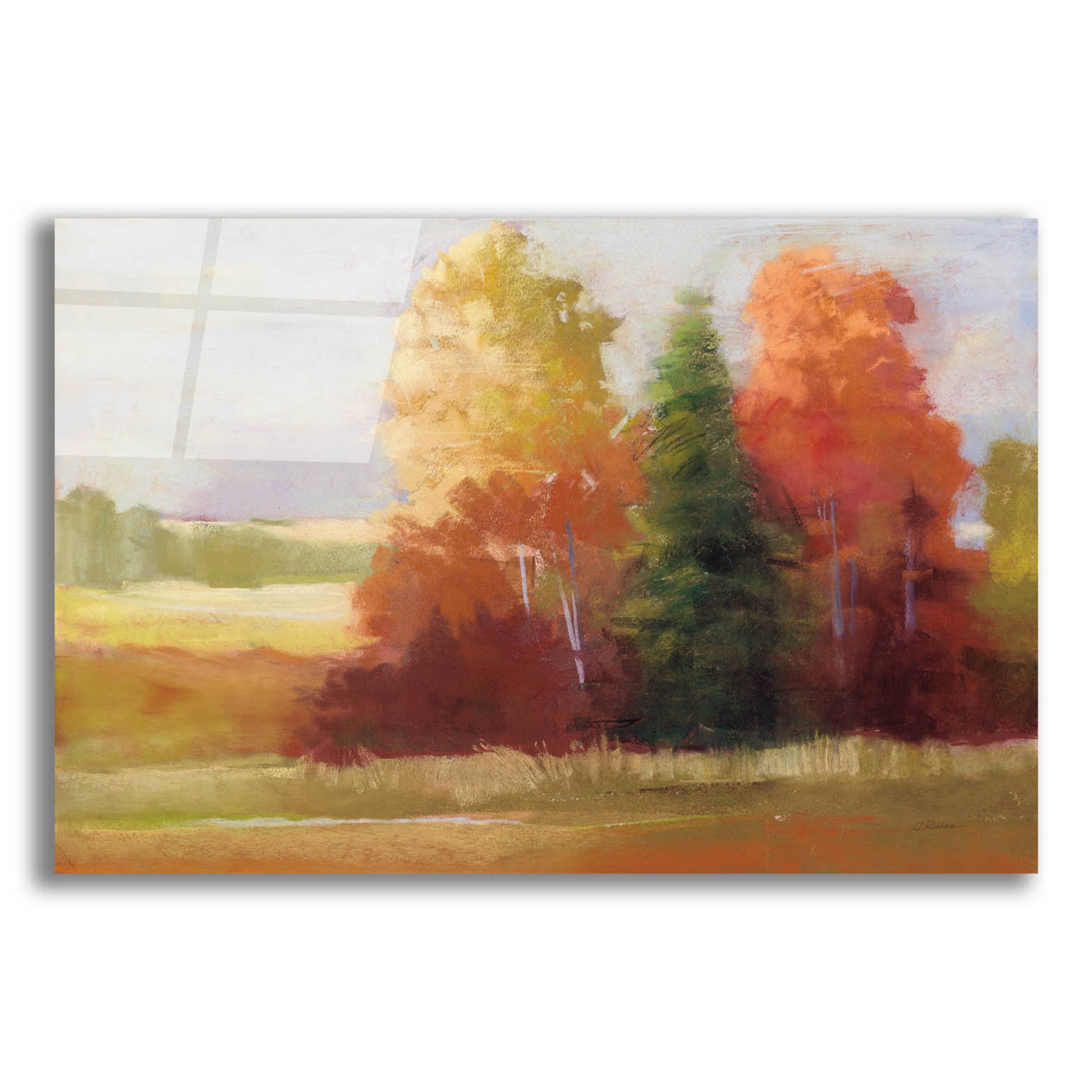 Epic Art 'Autumn Leaves' by Carol Rowan, Acrylic Glass Wall Art,24x16