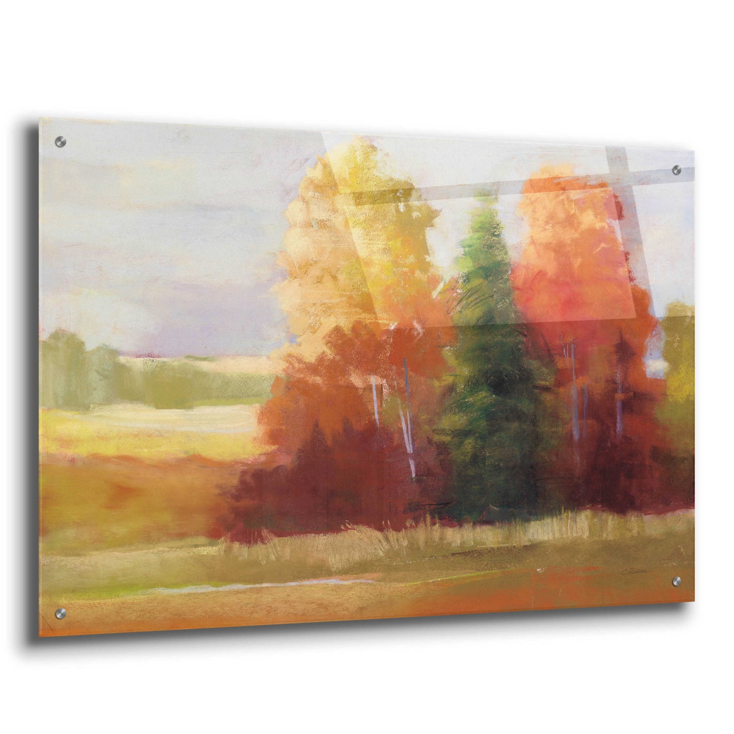 Epic Art 'Autumn Leaves' by Carol Rowan, Acrylic Glass Wall Art,36x24