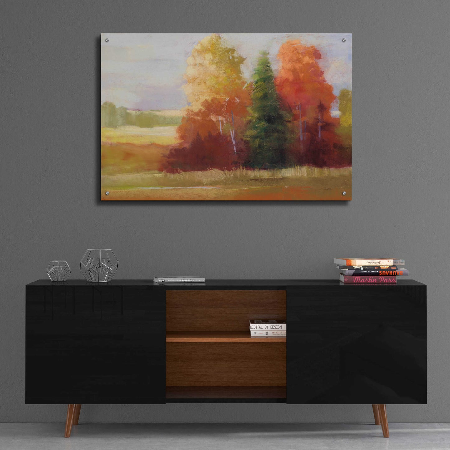 Epic Art 'Autumn Leaves' by Carol Rowan, Acrylic Glass Wall Art,36x24