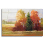 Autumn Leaves by Carol Rowan acrylic glass wall art