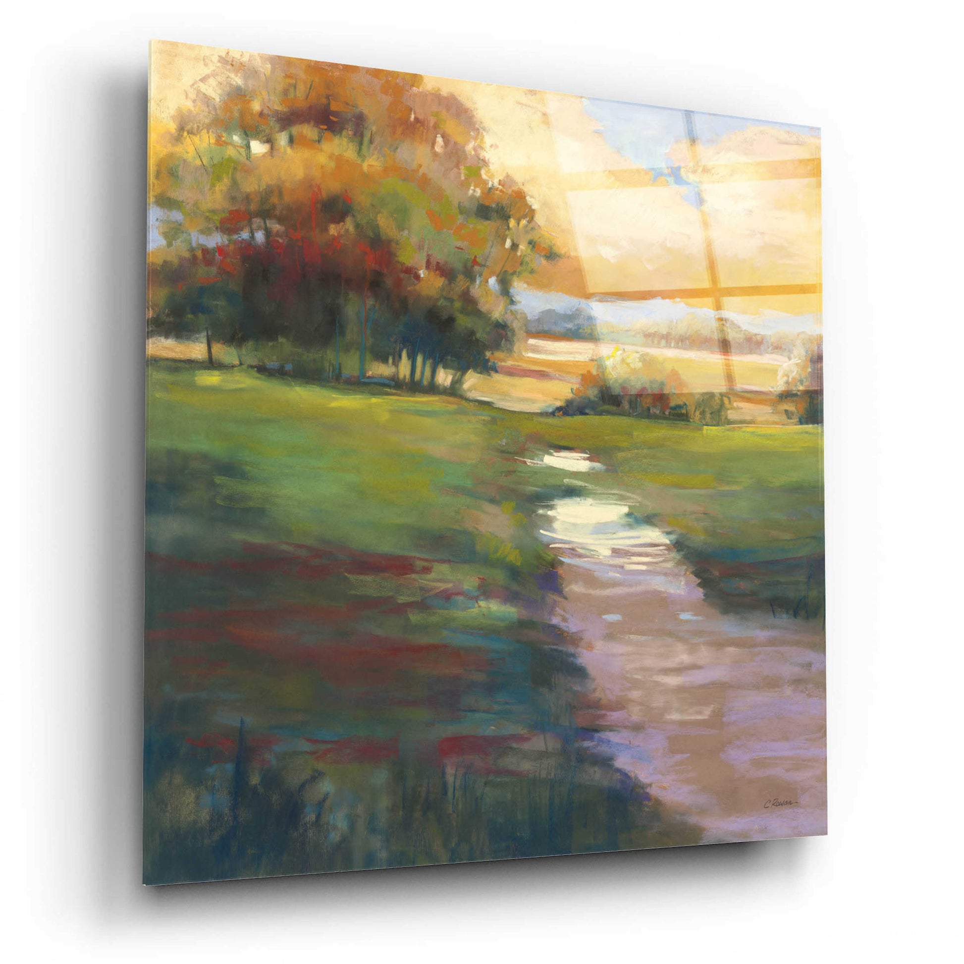 Epic Art 'Out For A Walk' by Carol Rowan, Acrylic Glass Wall Art,12x12