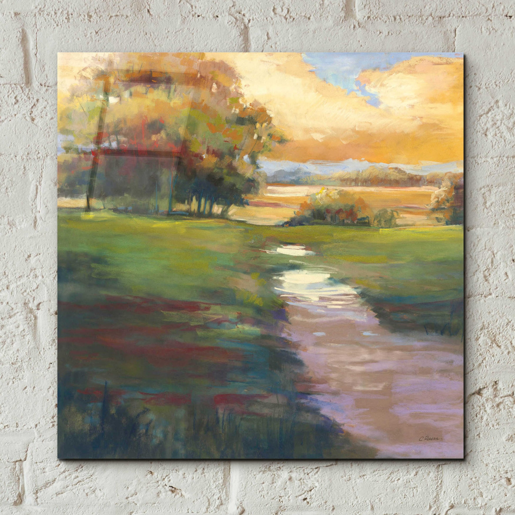 Epic Art 'Out For A Walk' by Carol Rowan, Acrylic Glass Wall Art,12x12