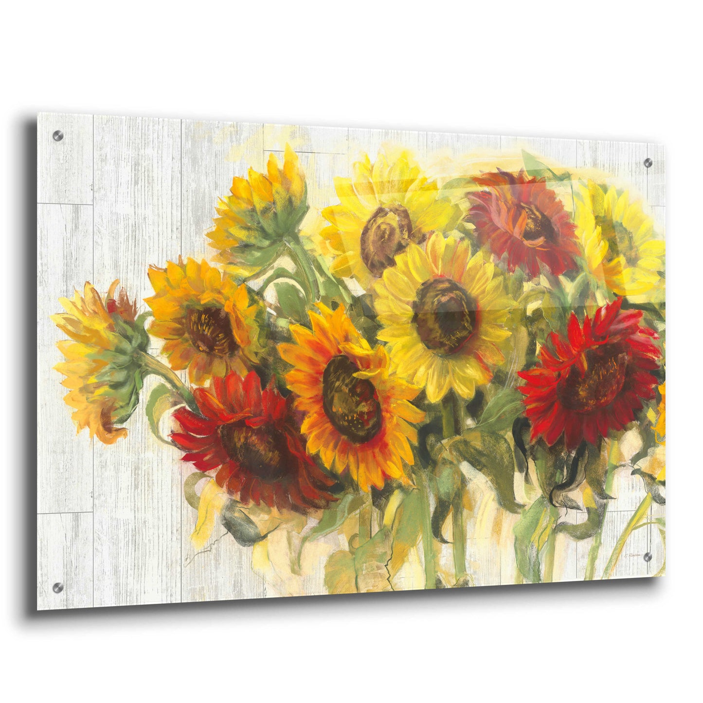 Epic Art 'Gathering Sun Crop On Wood' by Carol Rowan, Acrylic Glass Wall Art,36x24