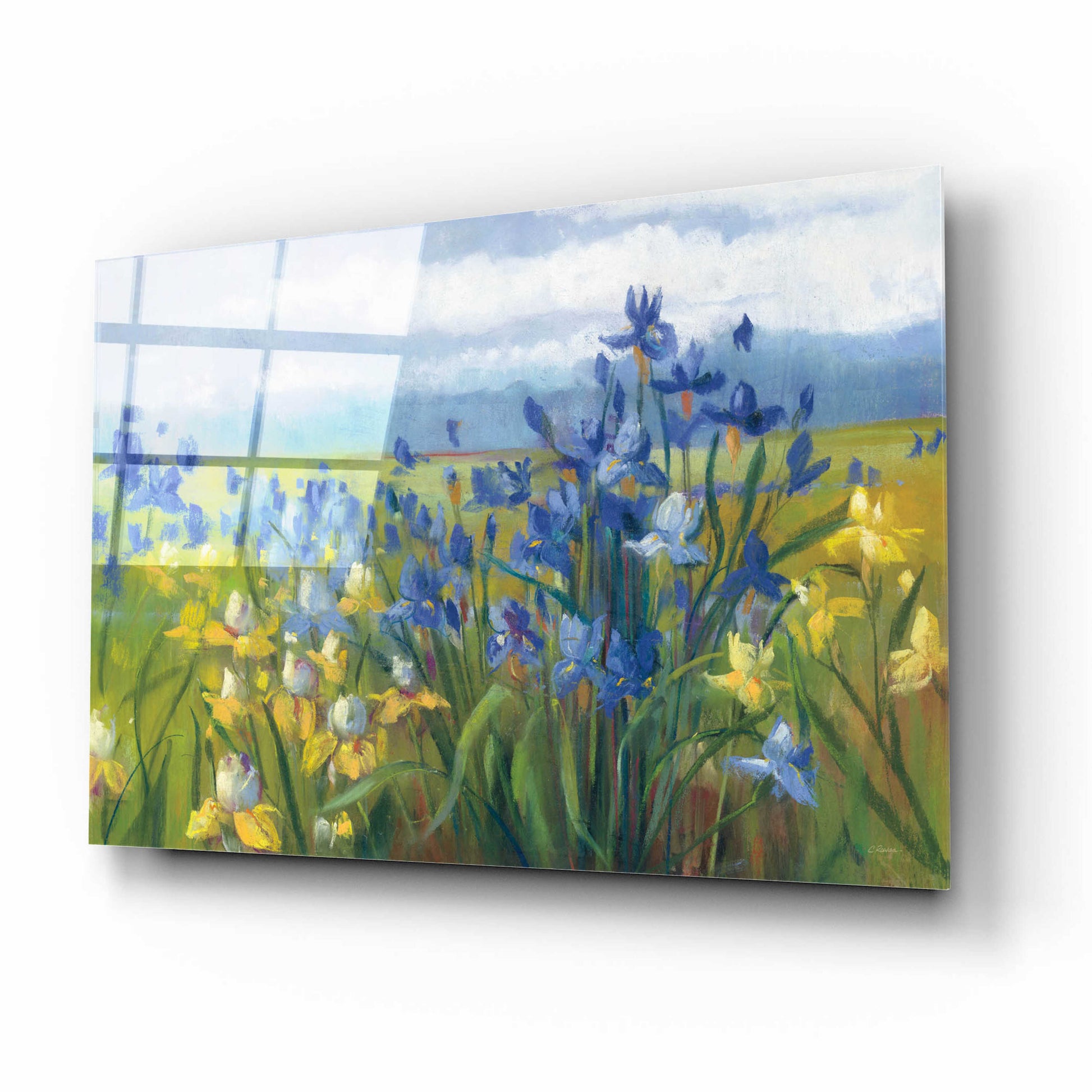 Epic Art 'Blue And Yellow Flower Field' by Carol Rowan, Acrylic Glass Wall Art,16x12